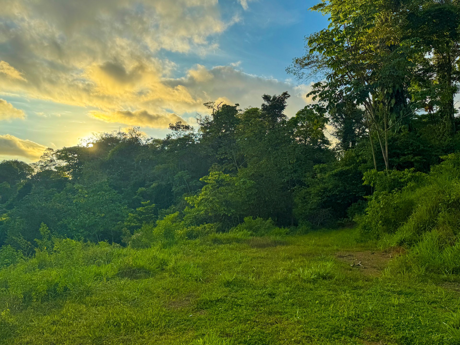 Build Your Vision in Uvita – 15.9 Ocean View Acres with Easy Access + Utilities Ready!