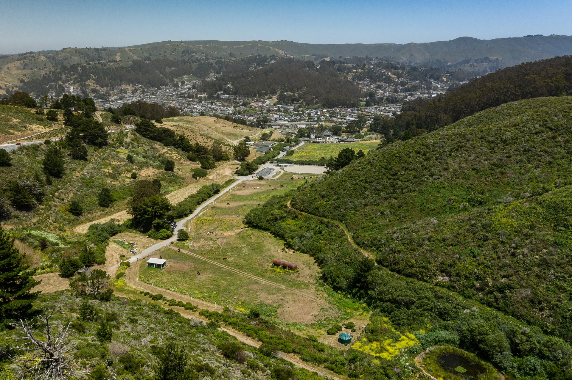 Shamrock Ranch