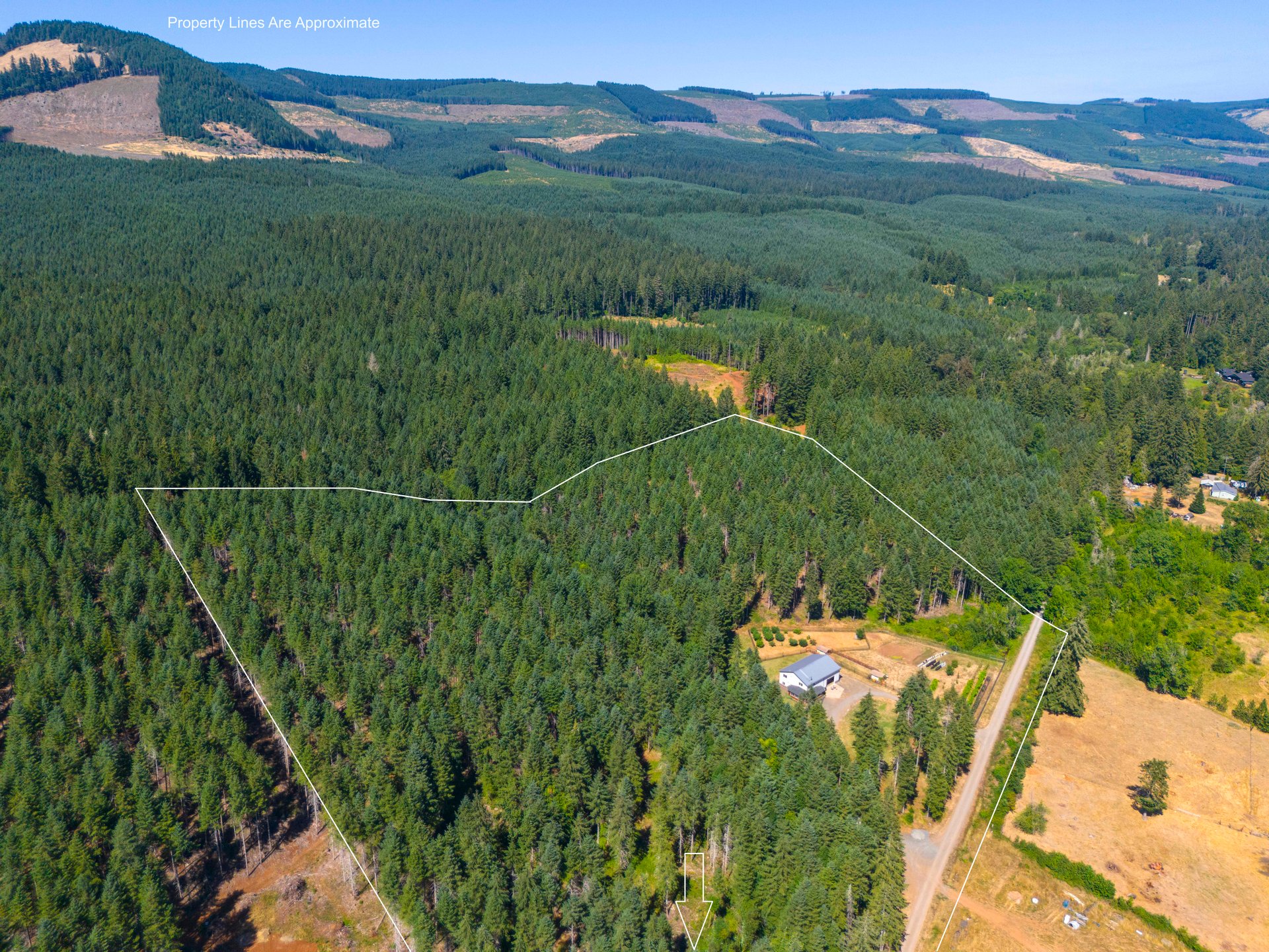 Thetford Home & Forest