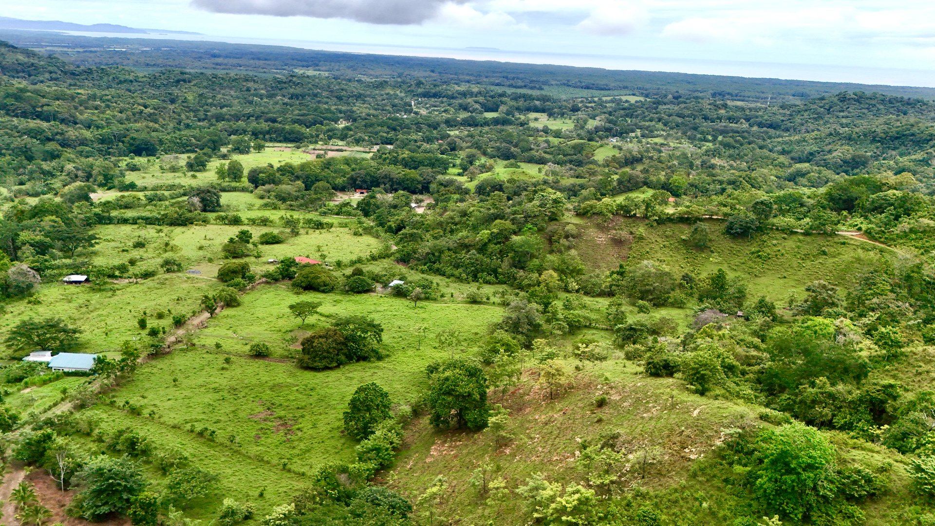 Ocean View Sanctuary in San Buenas – 4.94 Acres of Pastures & Easy Accessaccess