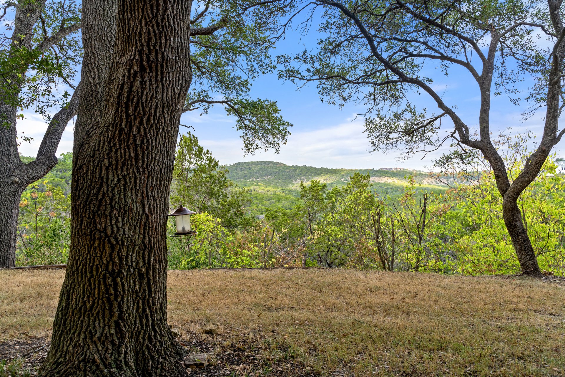 1409 Old Wagon Road