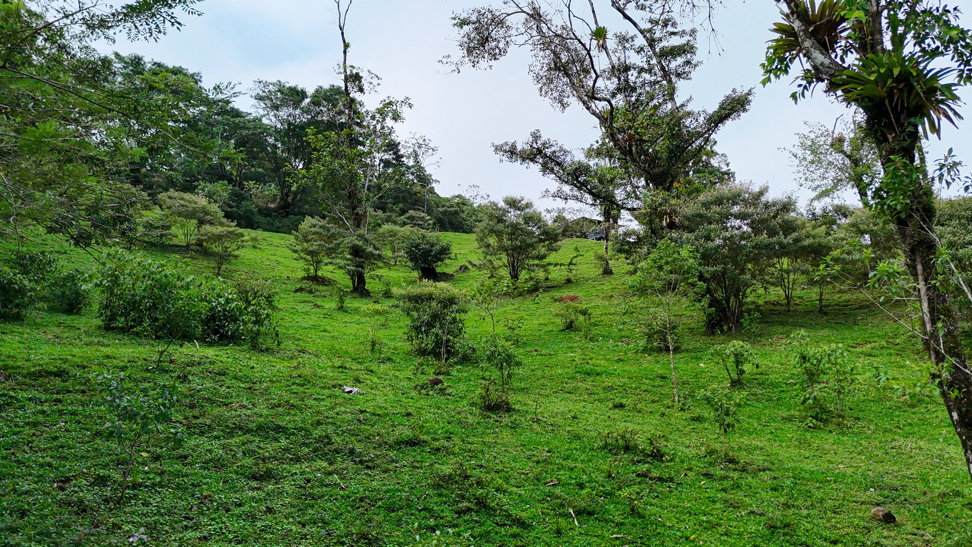 Finca Altamira | Boasting breathtaking panoramic views of the majestic Miravalles Volcano!