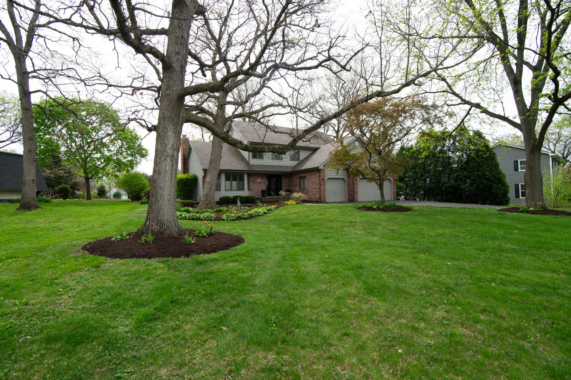 346 Meadowrue Lane