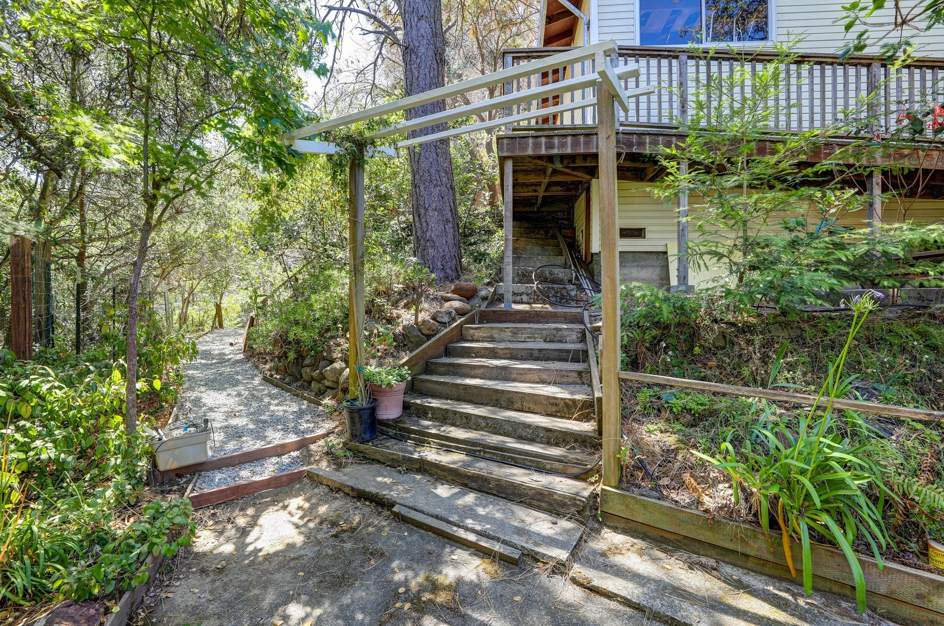 1121 Meadowsweet