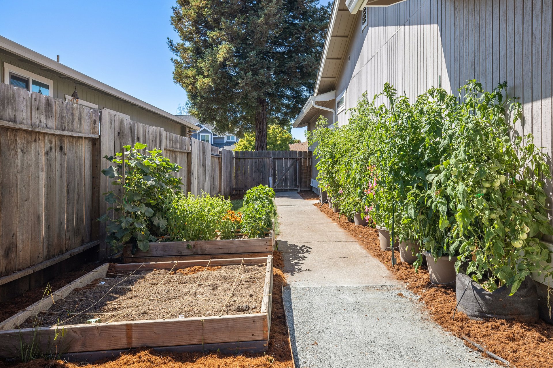 1653 Cerro Sonoma