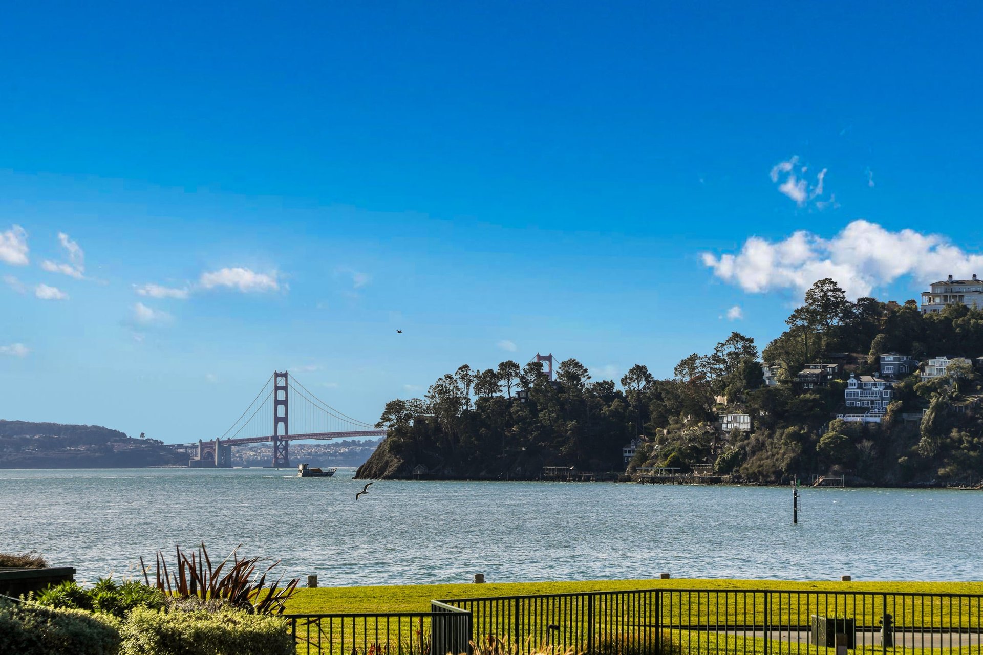Luxury Condominium by the Bay
