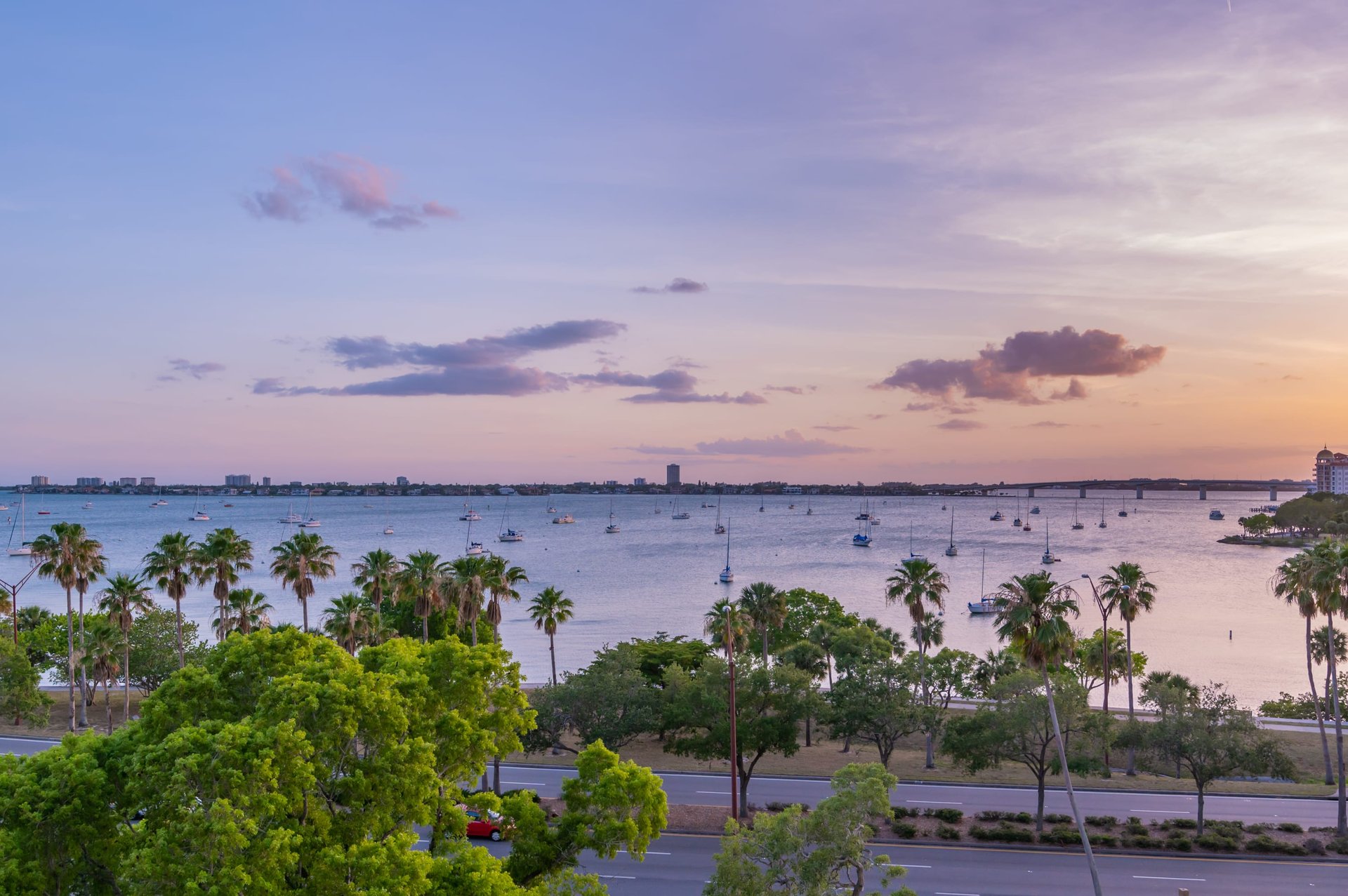 624 Palm