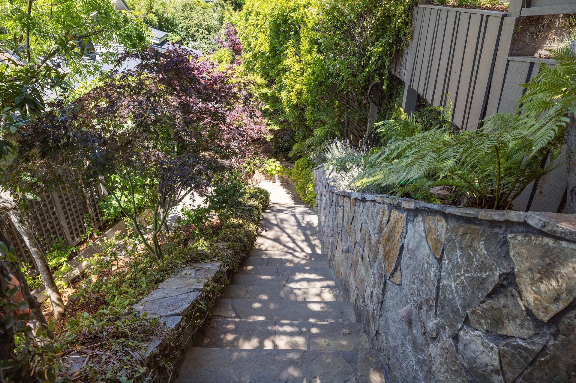 225 Tamalpais Avenue