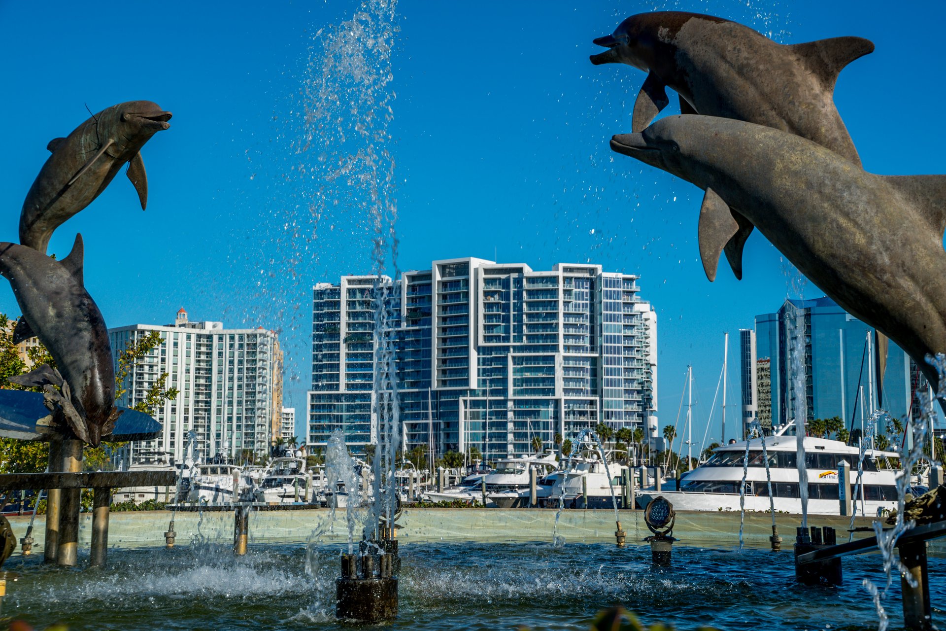 Vue Sarasota Bay