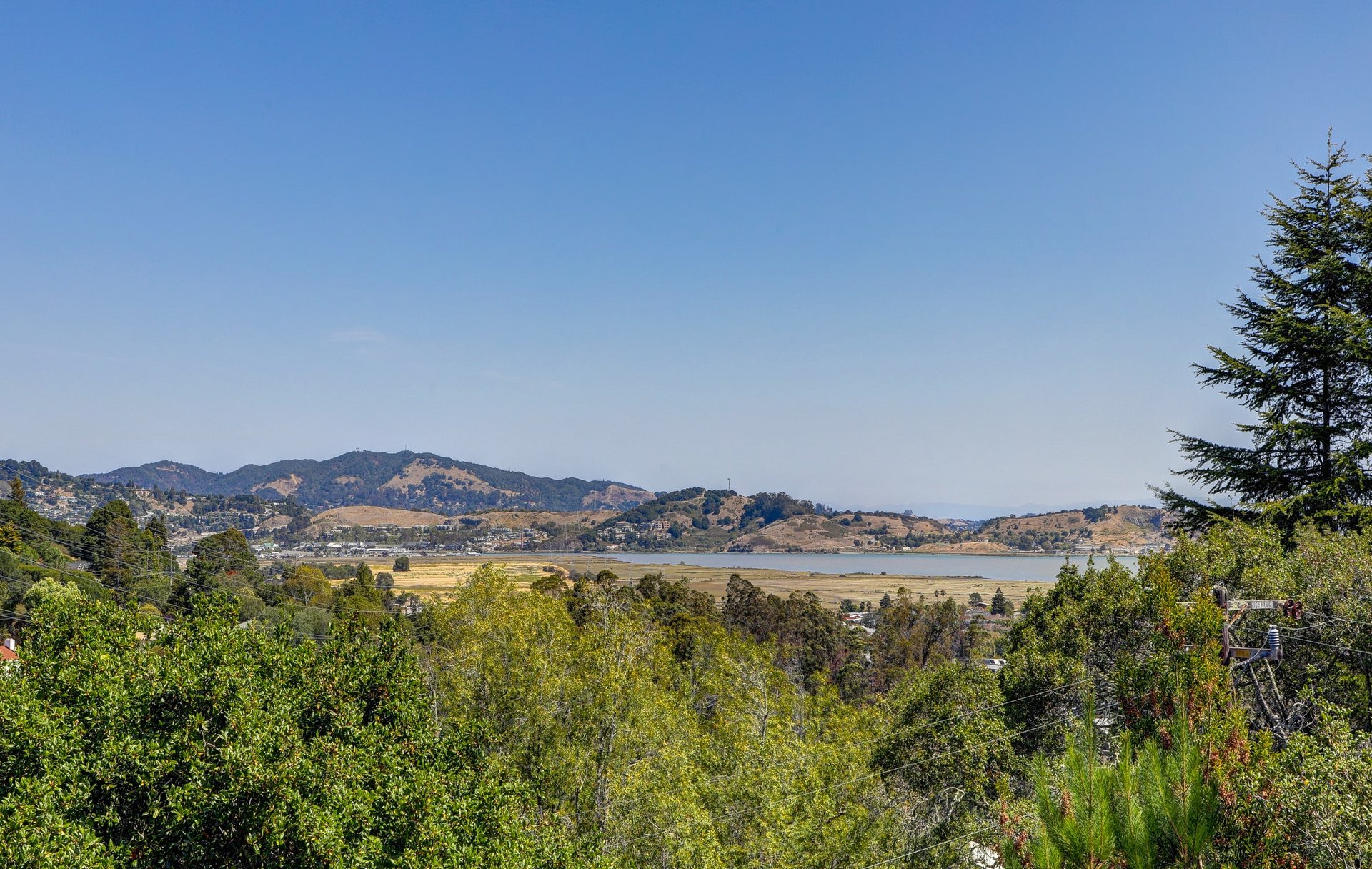 1121 Meadowsweet
