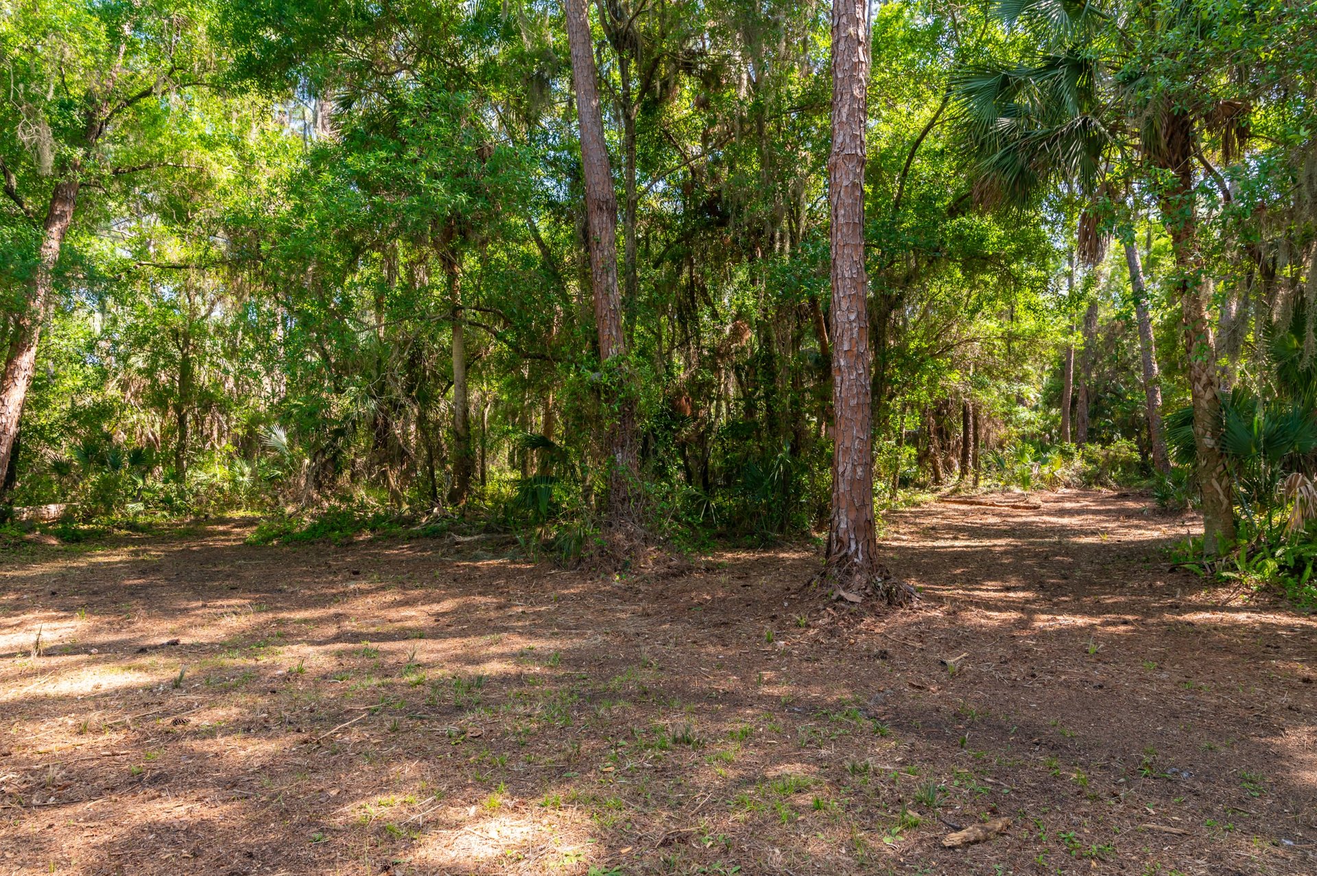 68th Ave East (Lot)