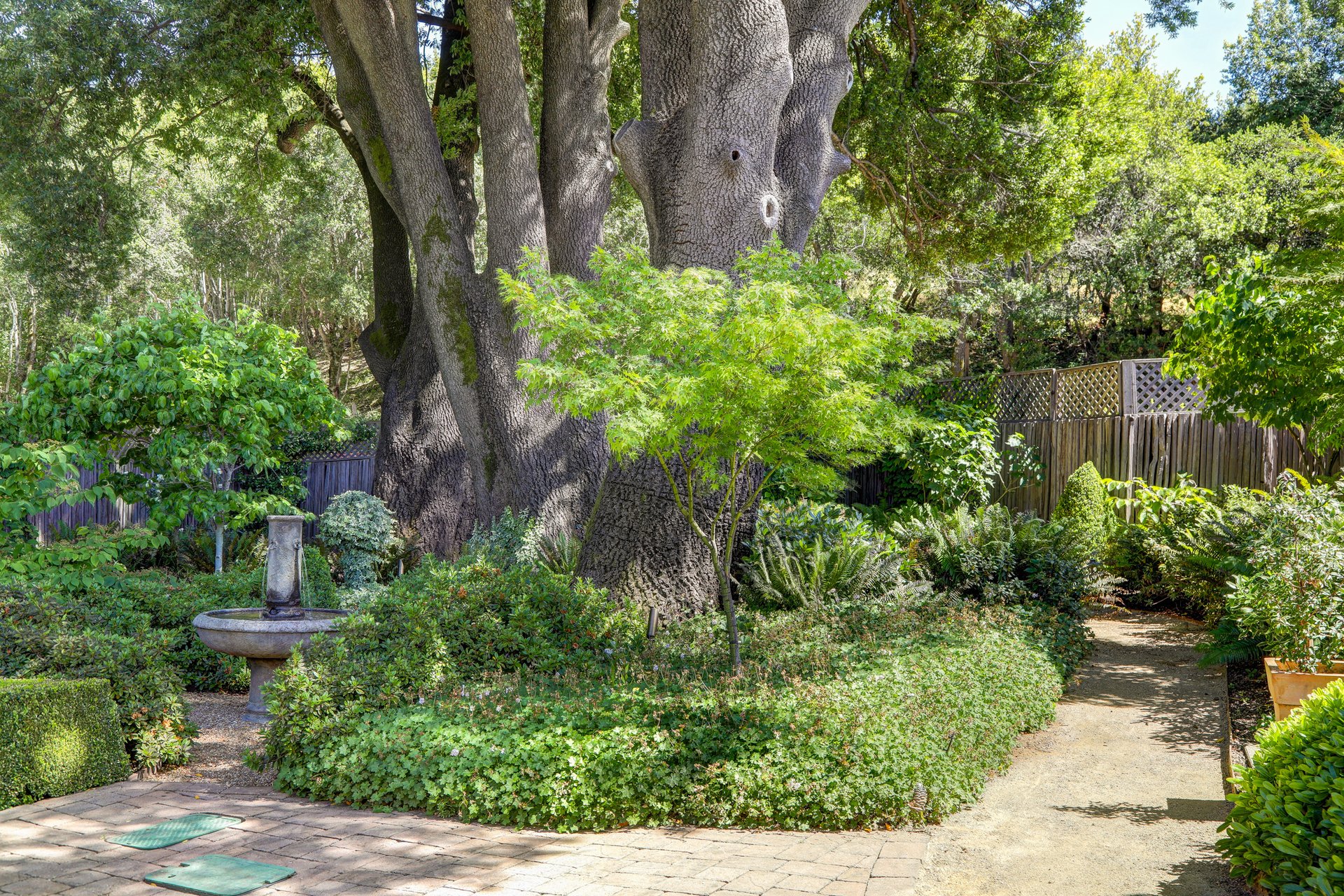 Lucas Valley Estates