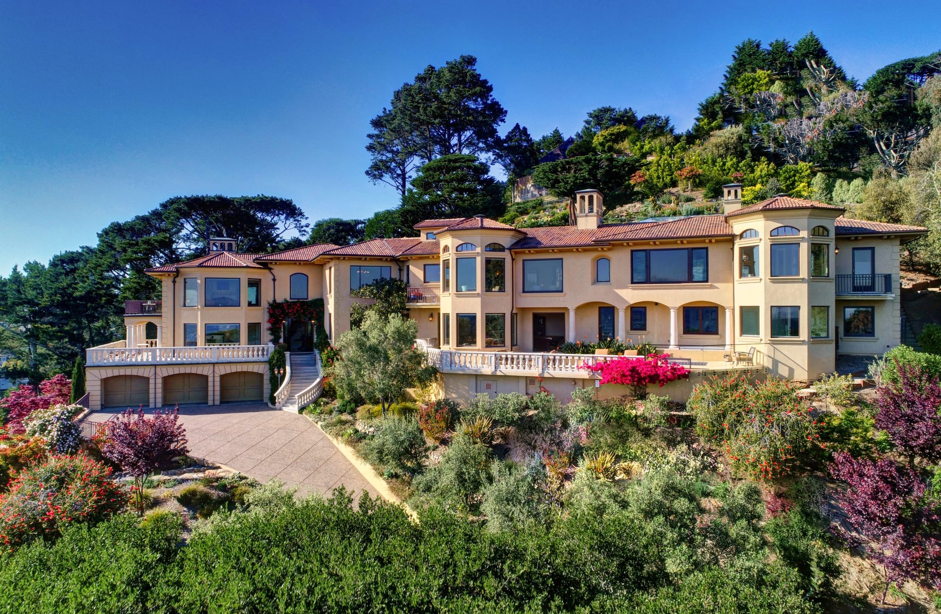 Extraordinary Tiburon Sanctuary