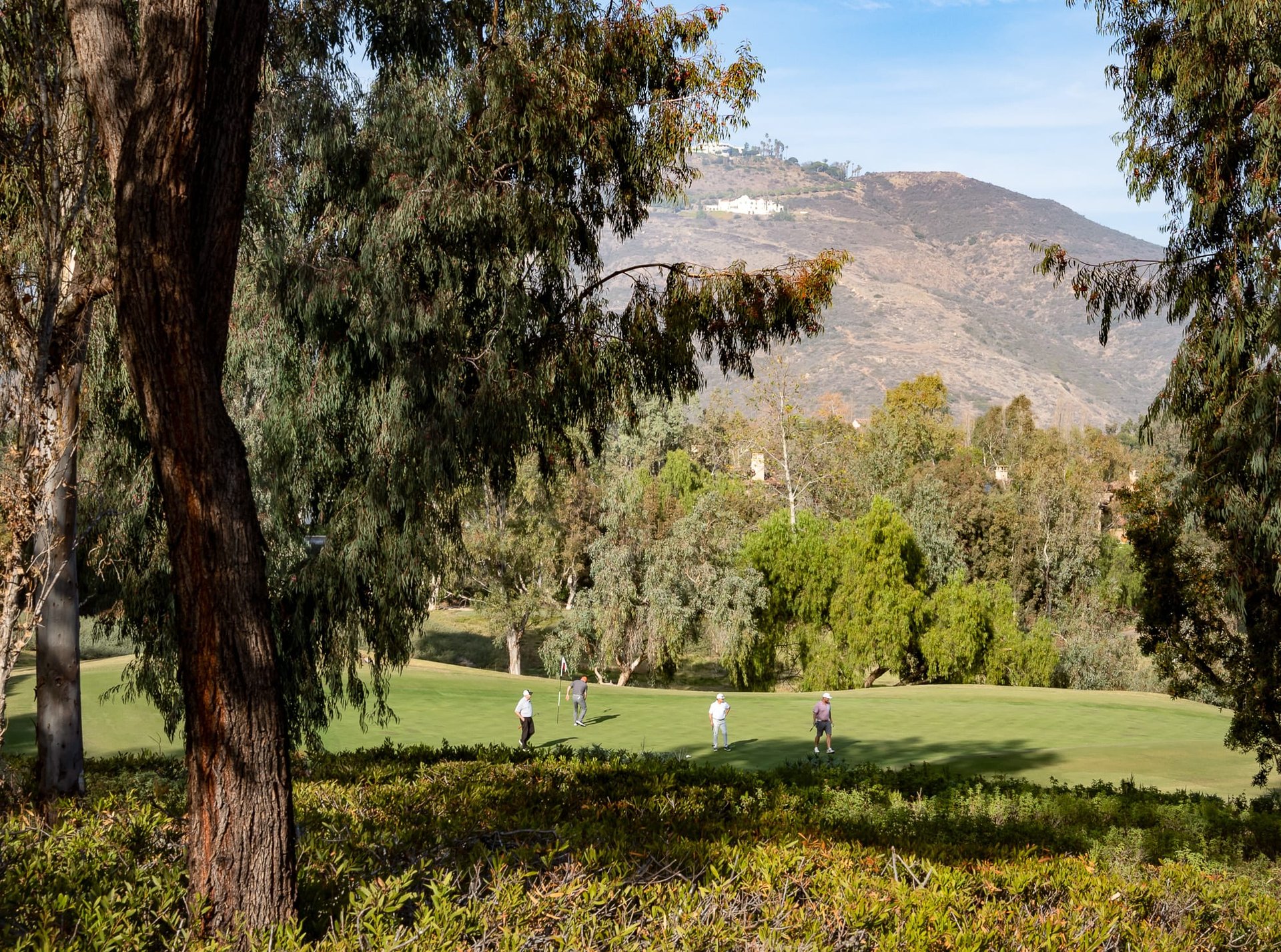 18363 Calle La Serra Rancho Santa Fe 92091