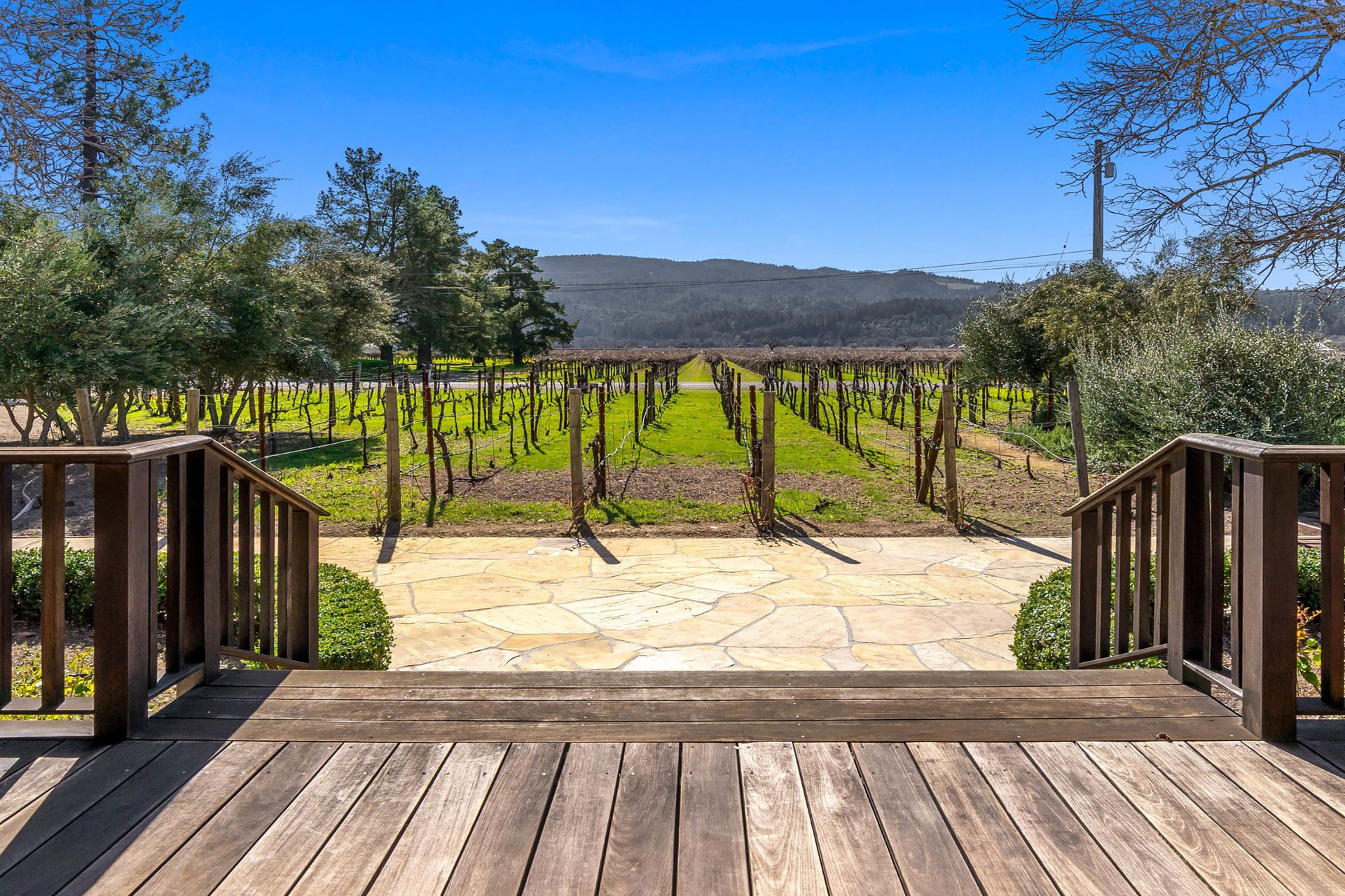 Vineyard Paradise - SOLD