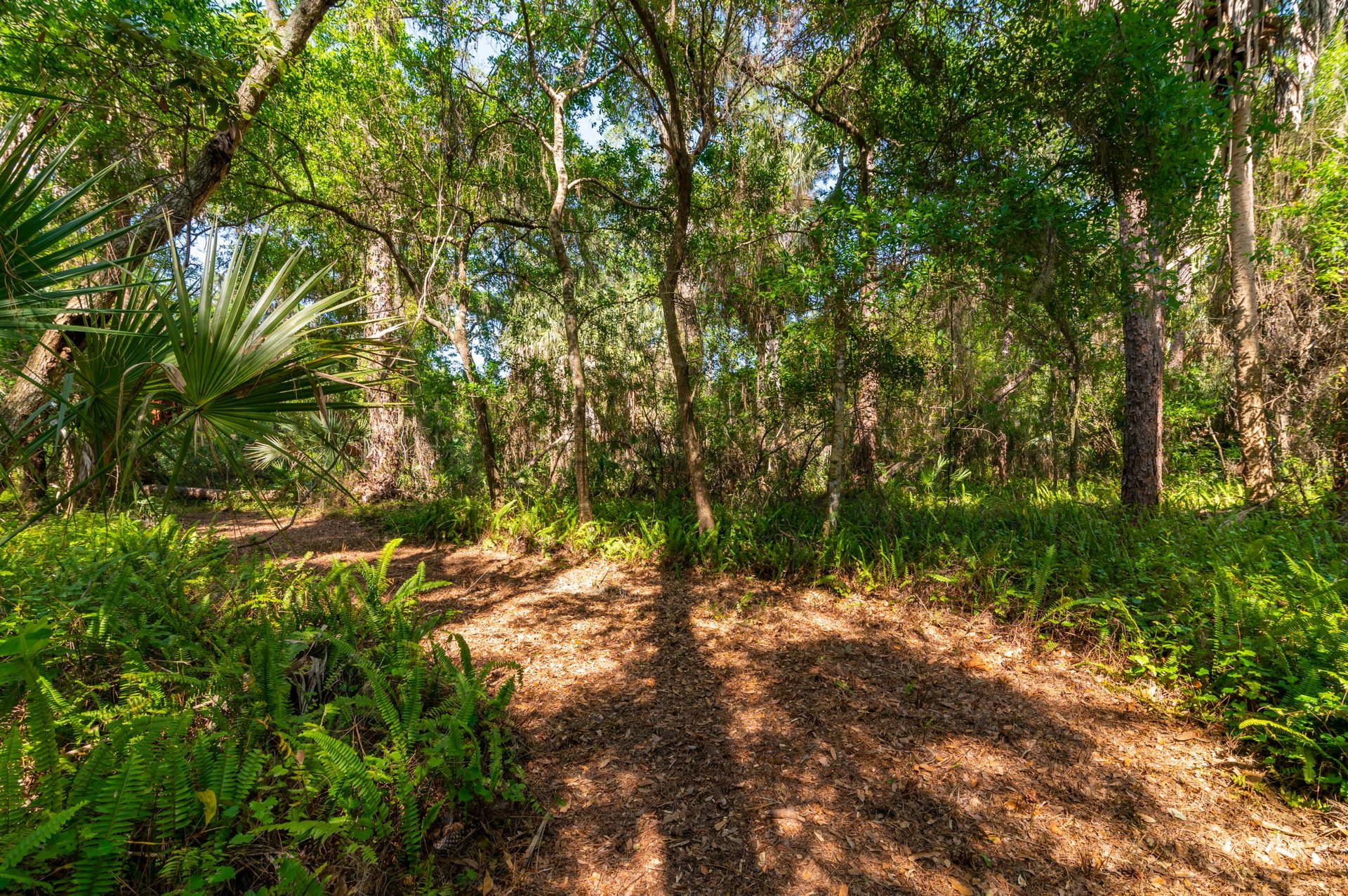 68th Ave East (Lot)