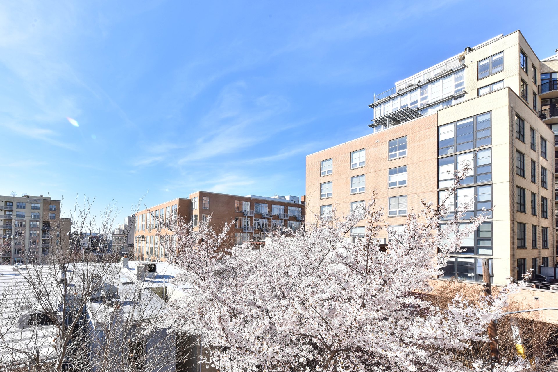 2125 14th St NW, #325W