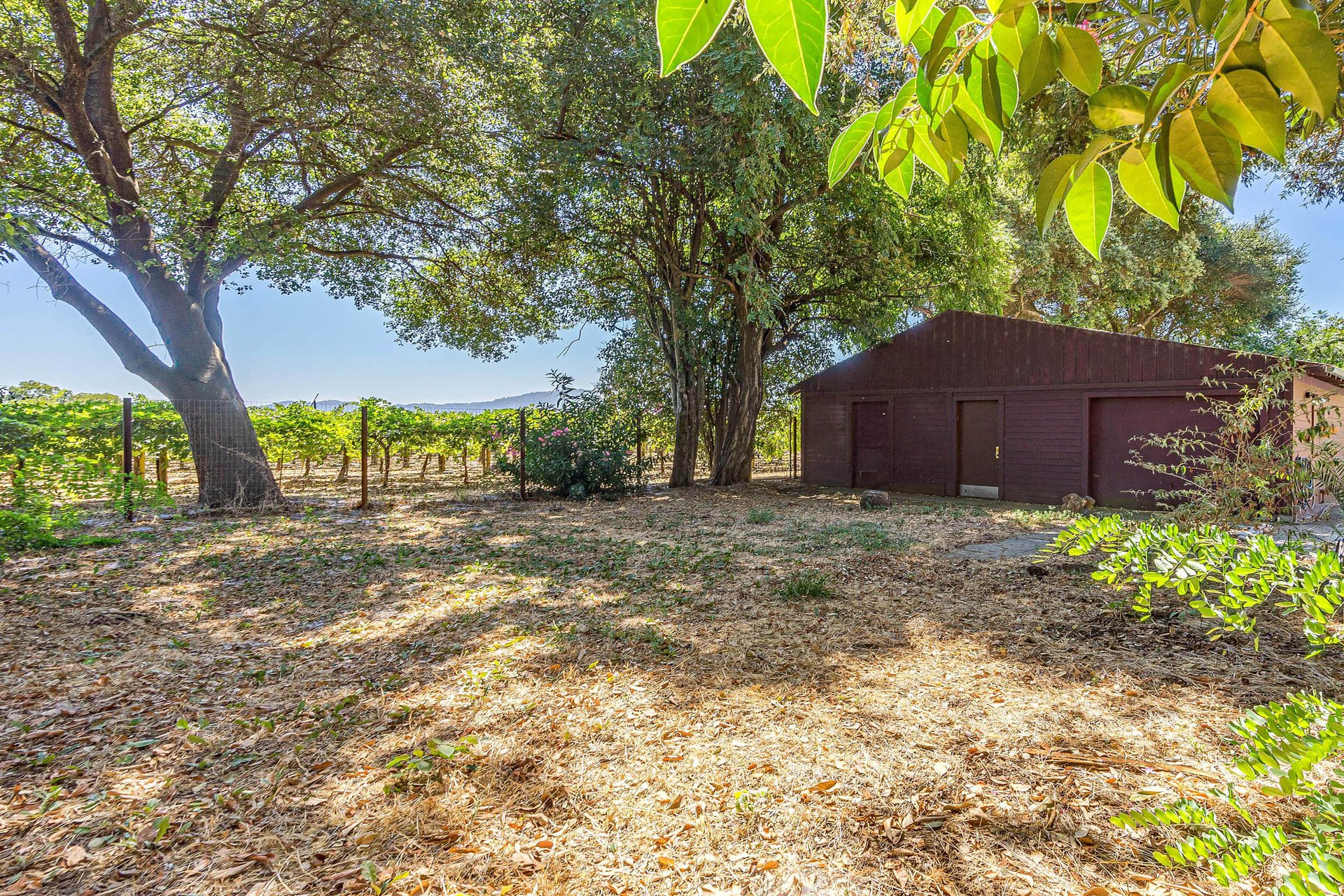 Rutherford Cottage - SOLD