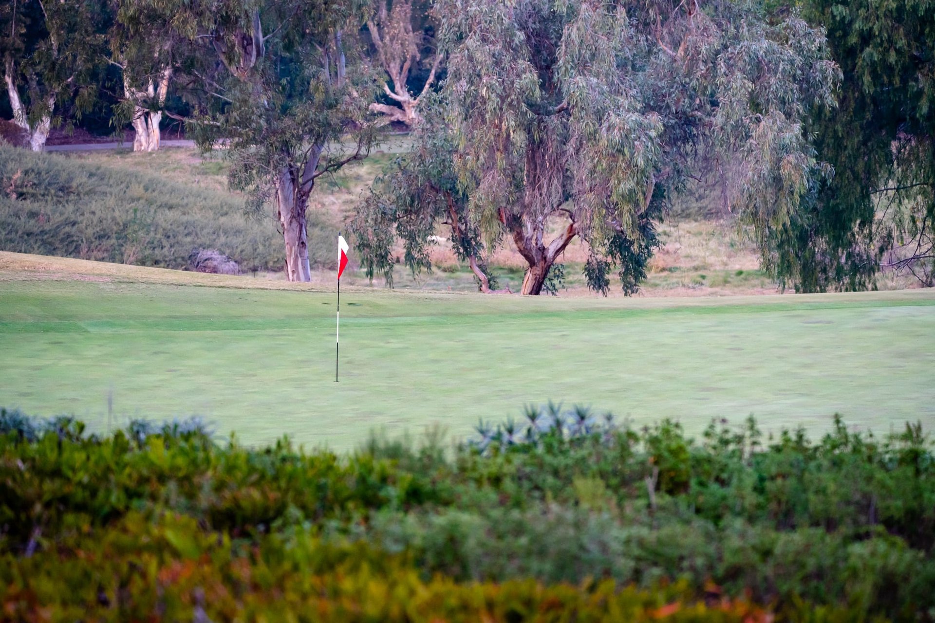 18363 Calle La Serra Rancho Santa Fe 92091
