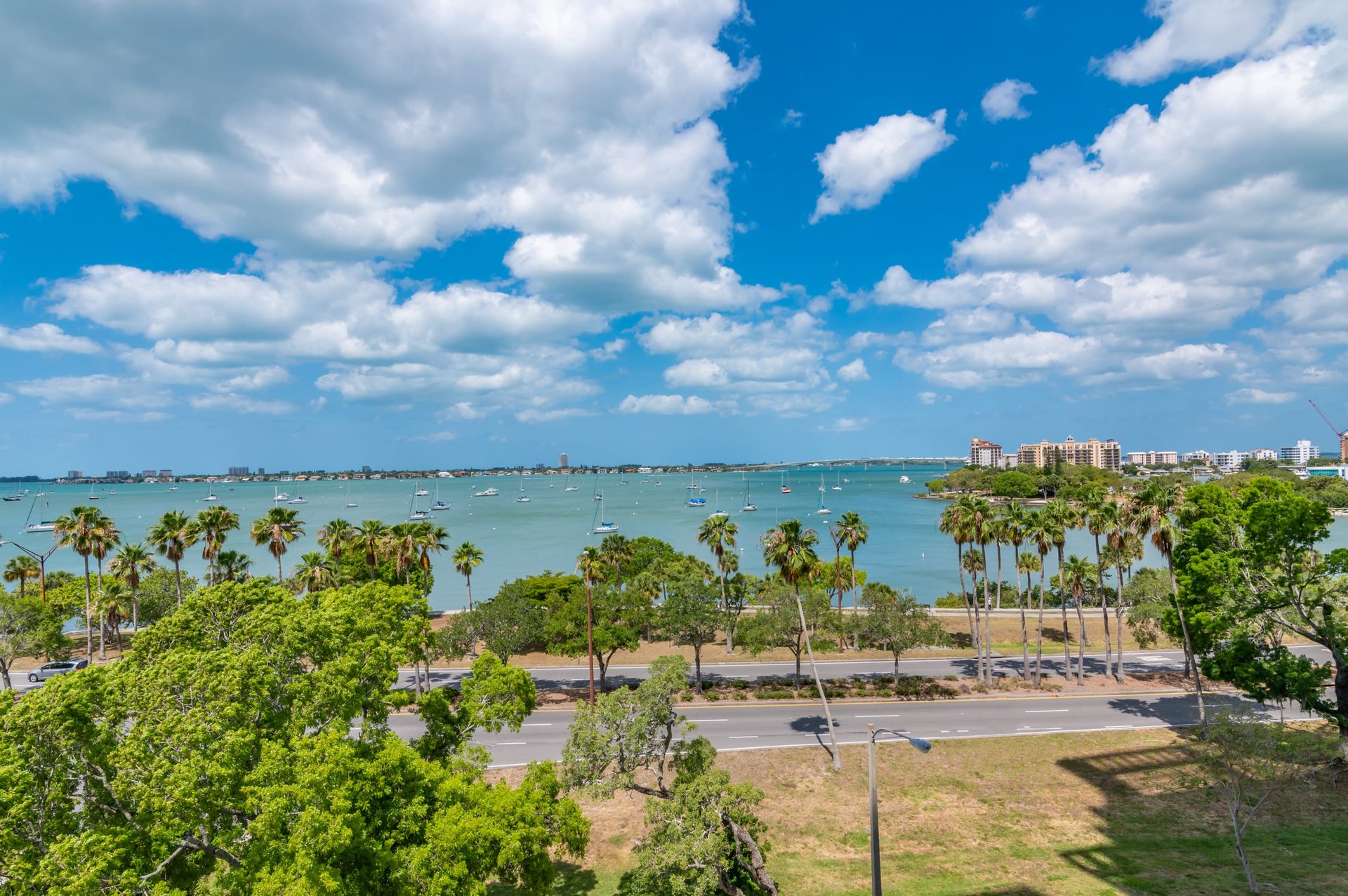 624 Palm