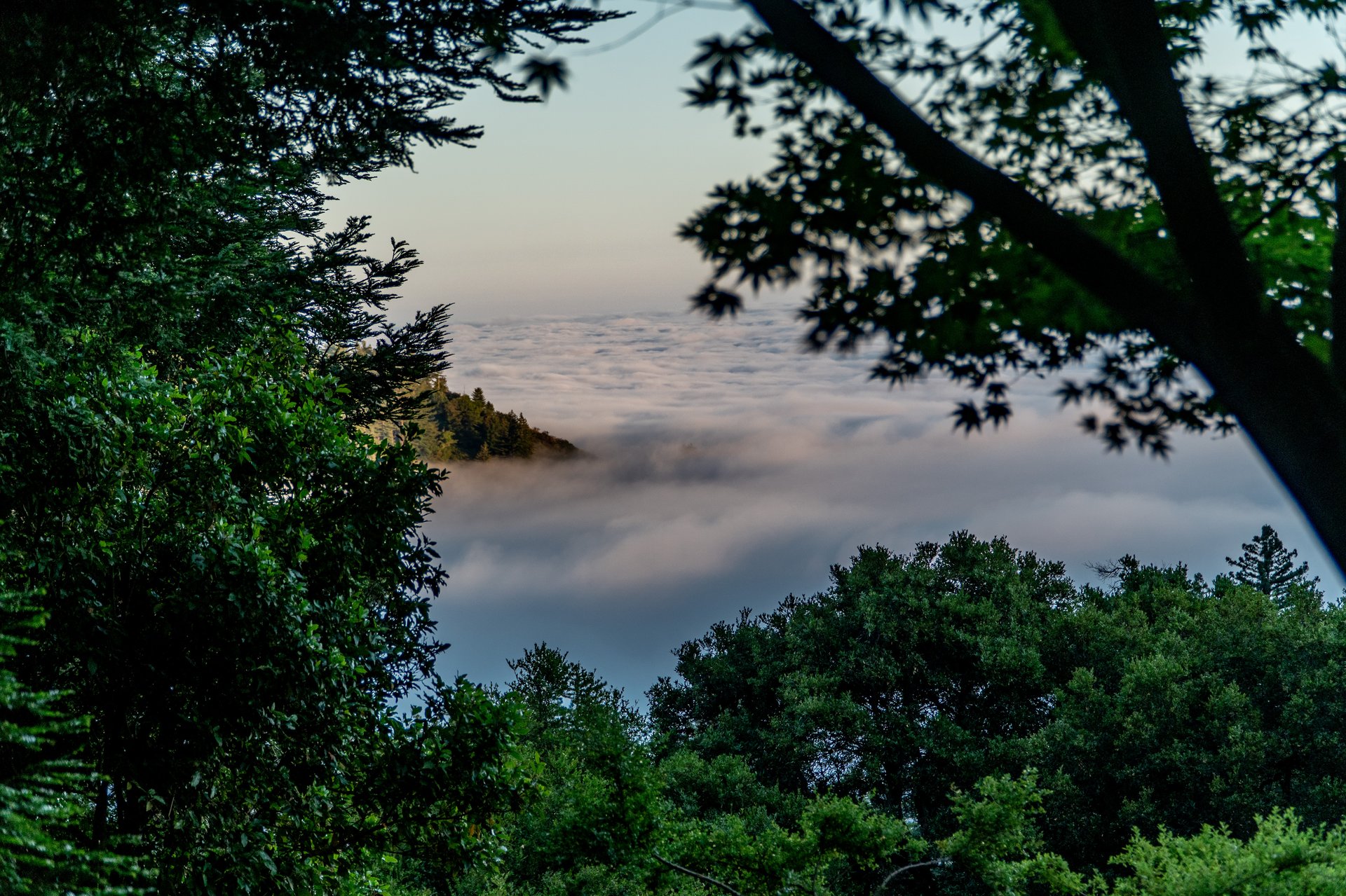 Big Sur Haven - 50740 Partington Ridge Road, Big Sur