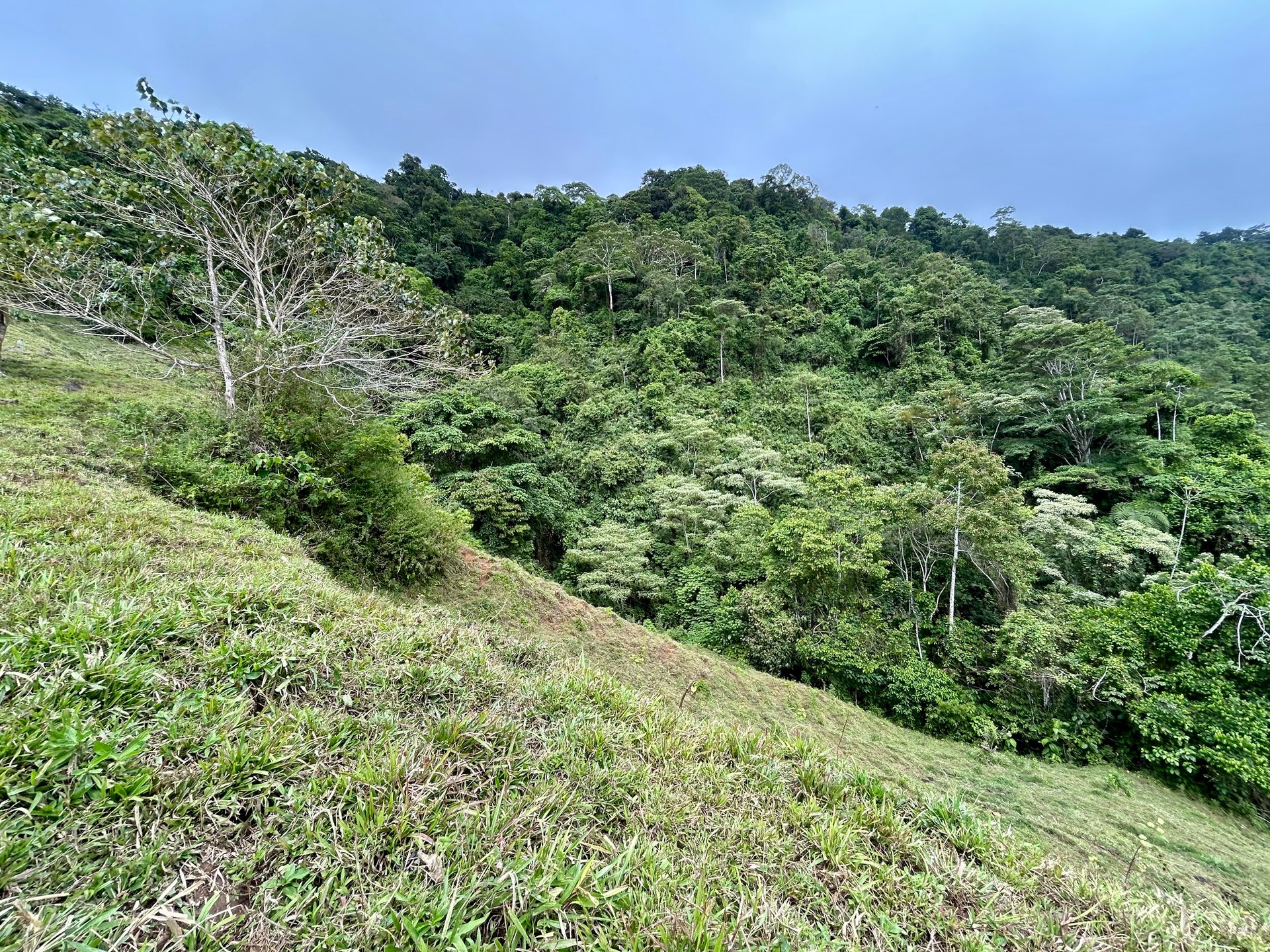 Gorgeous Land in San Luis Morete - Uvita - Over 17 Acres