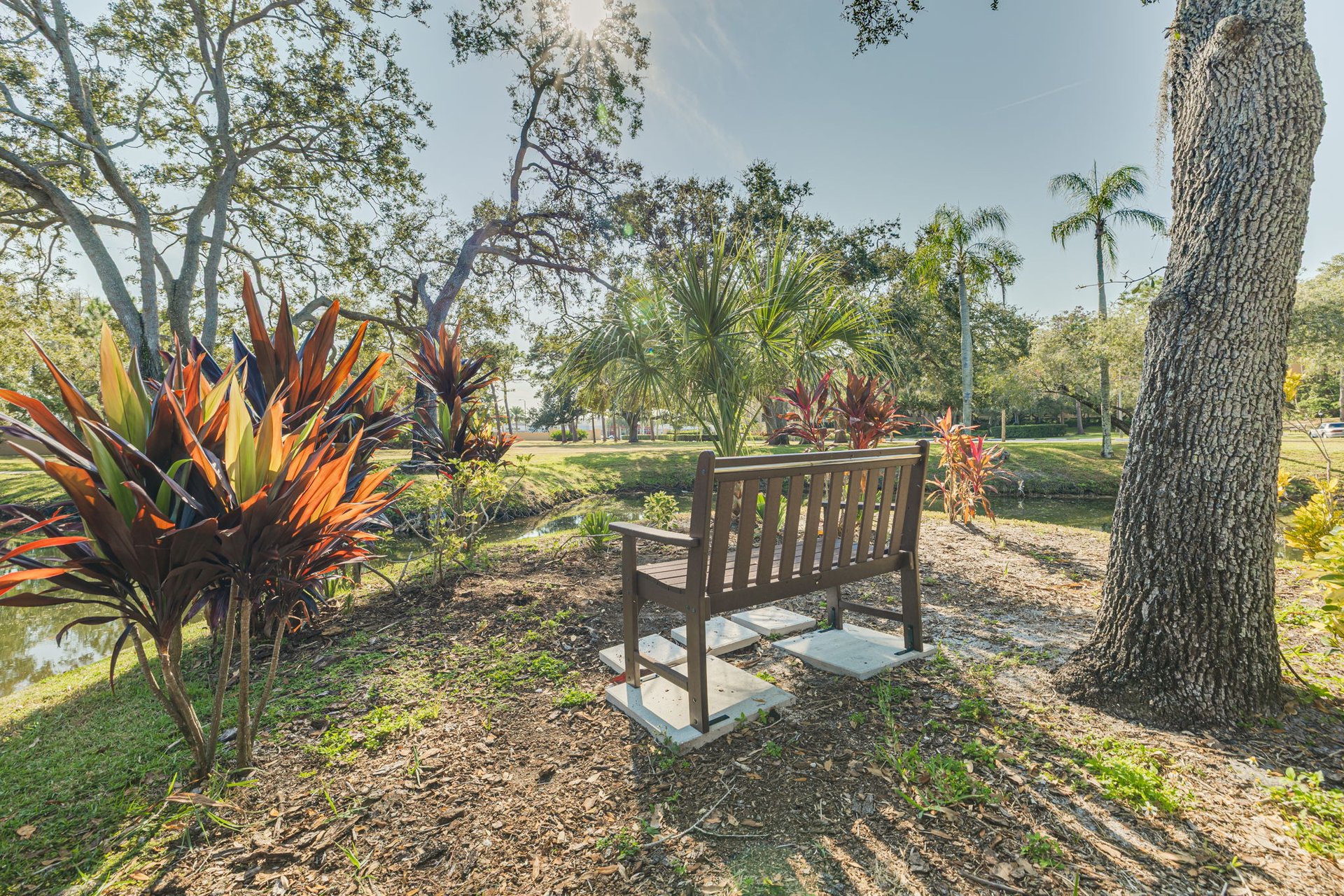 1 Bedroom Condo in Clearwater