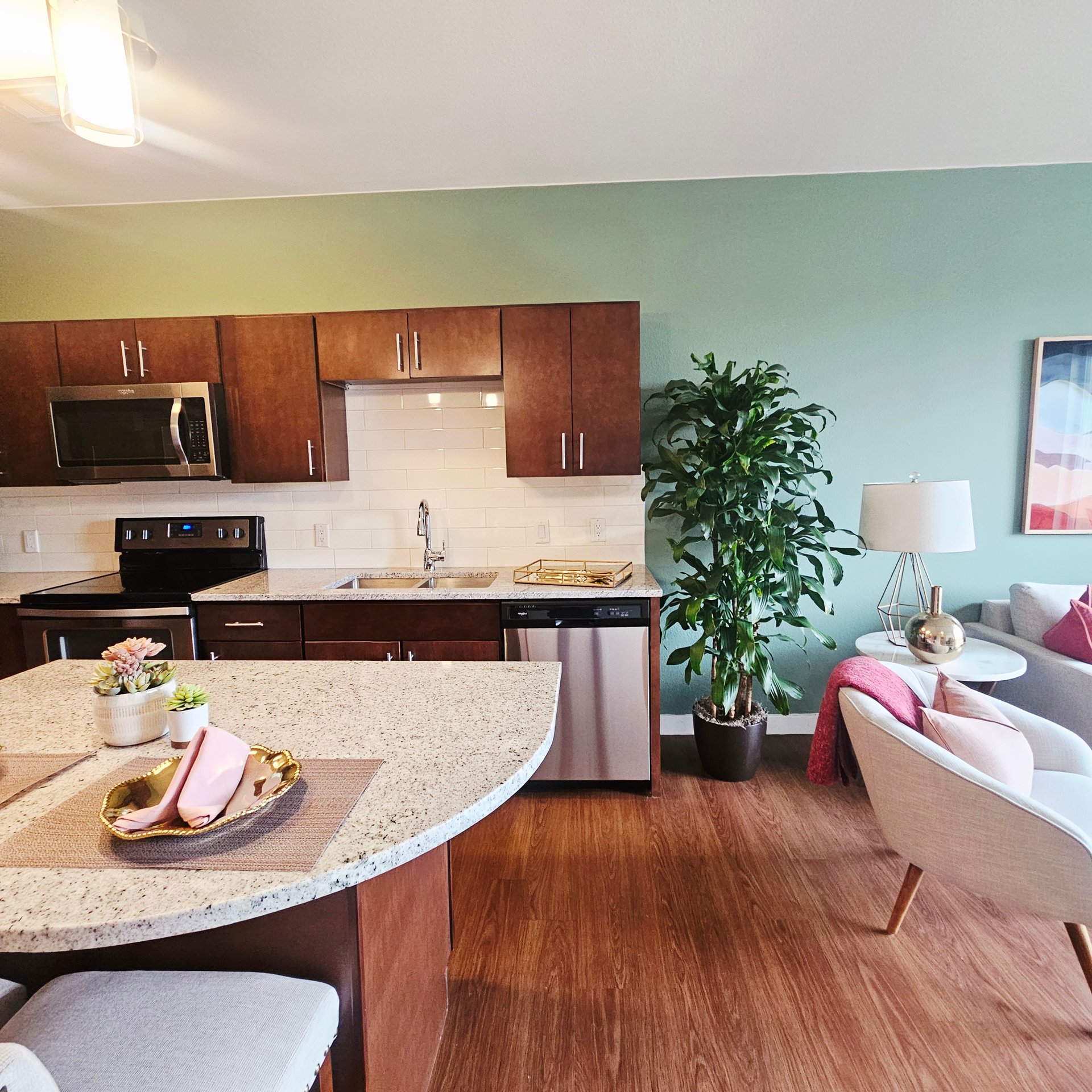 1 Bed 1 Bath Apartment Near City Park Denver