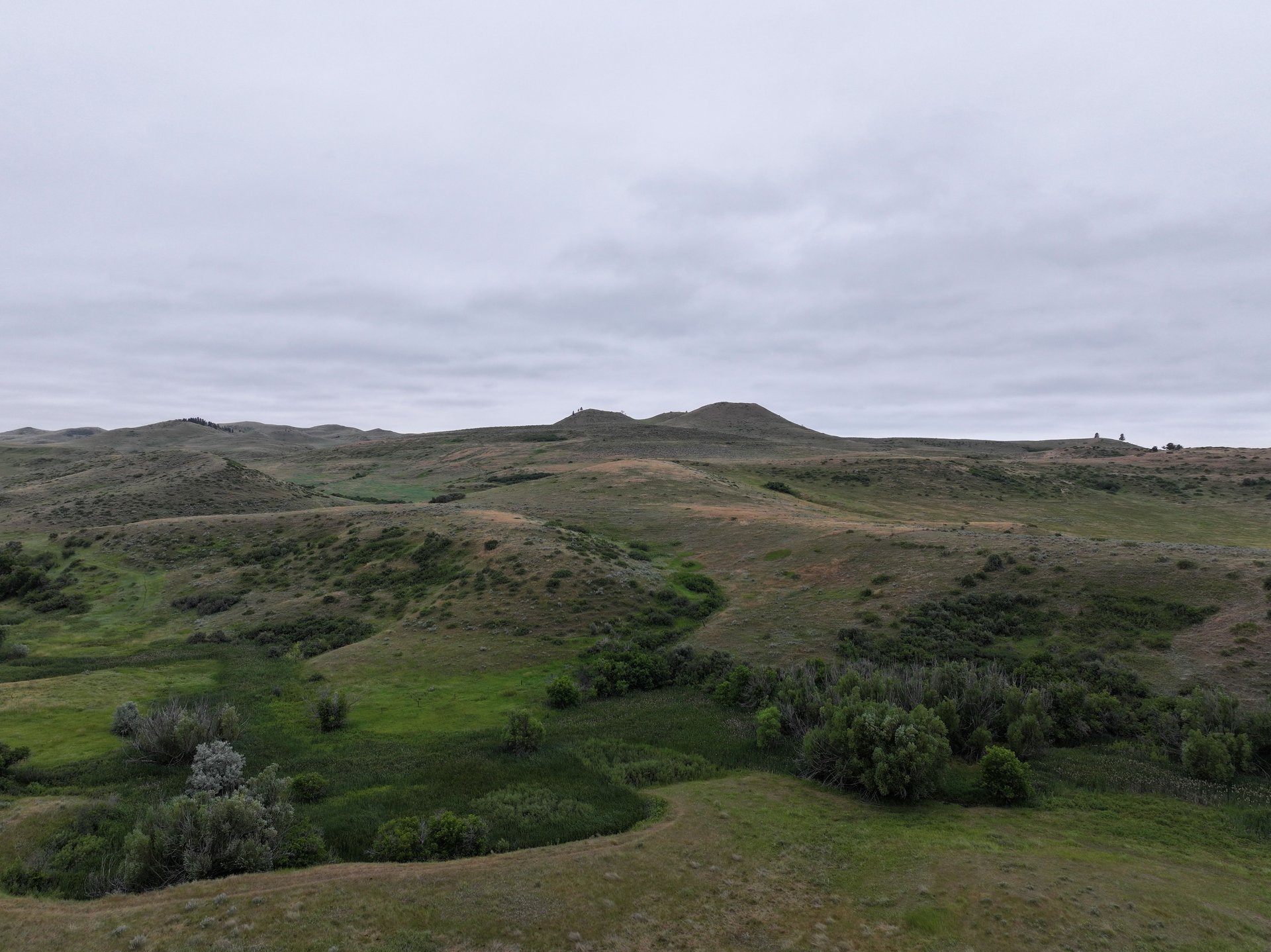 Dutch Creek Ranch 