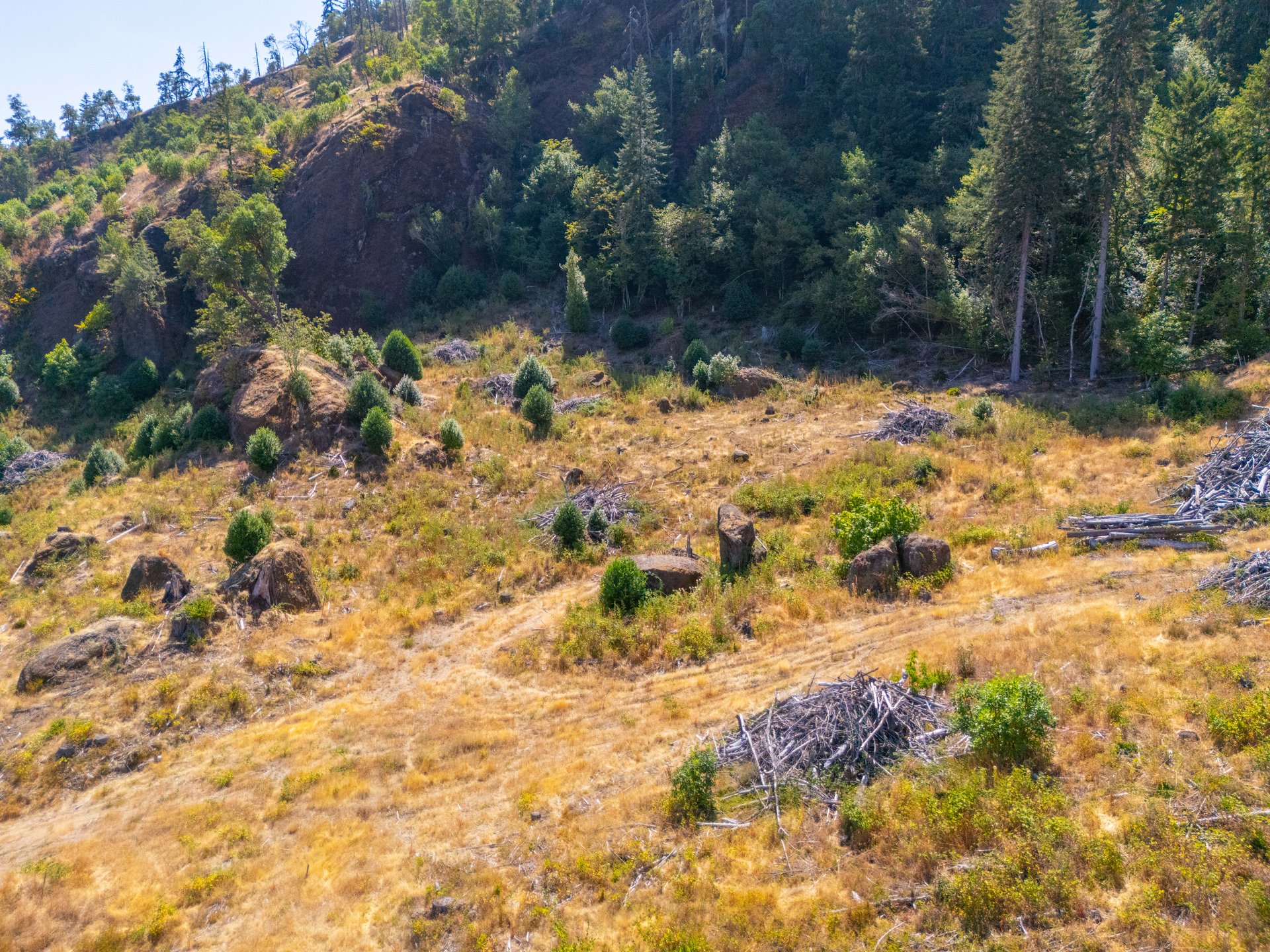 STRICKLAND CANYON HOMESITE