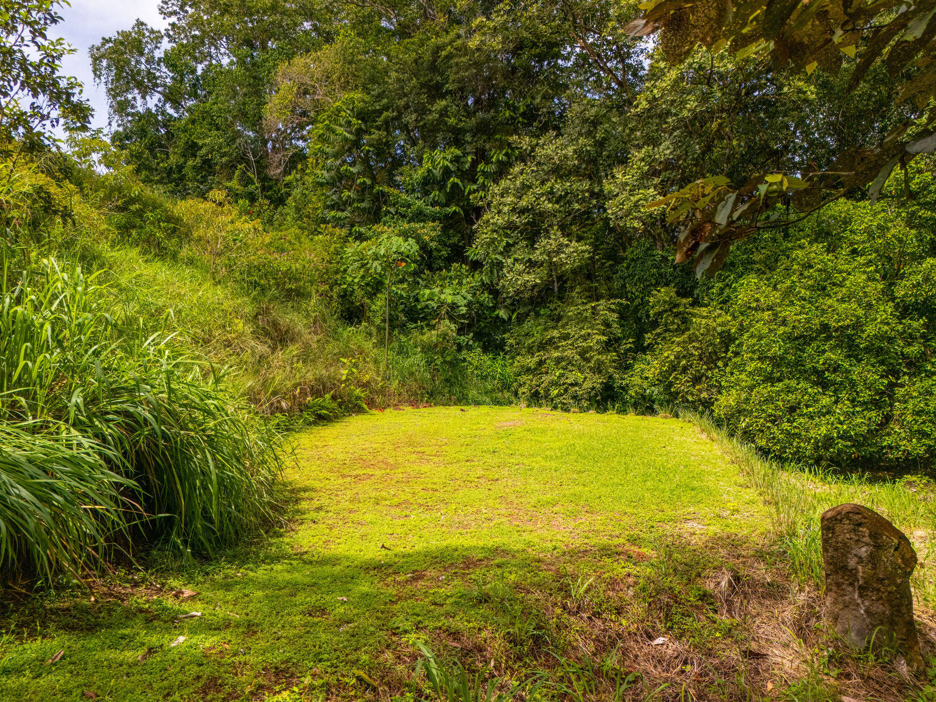 Plant Your Roots at Tierra Bendita! 2.5 Acres, River Frontage, 2 Bedroom Home, Private, Easy Access!