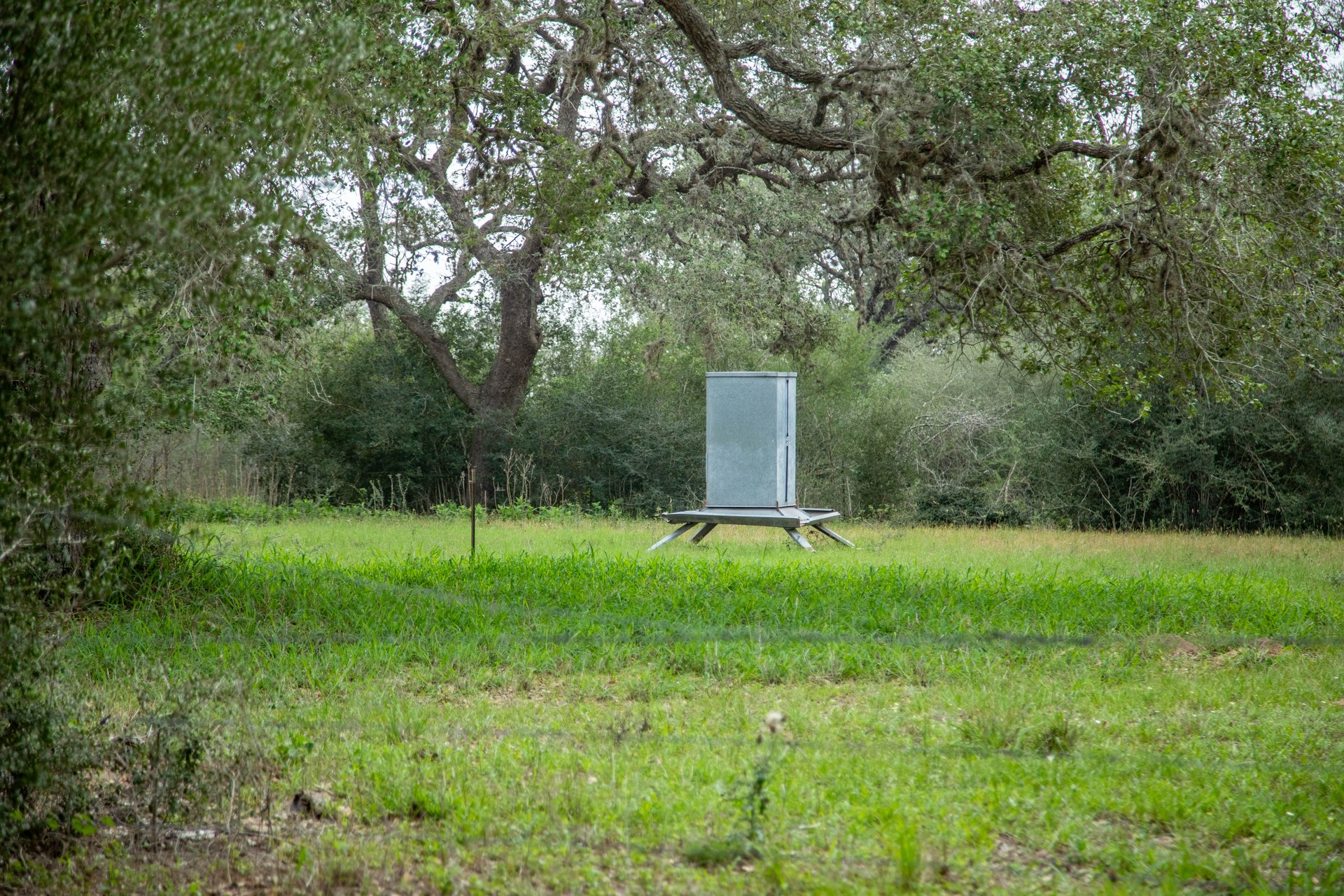 Five Mile Creek Reserve | 252.73± Acres-High Fence | DeWitt County, TX