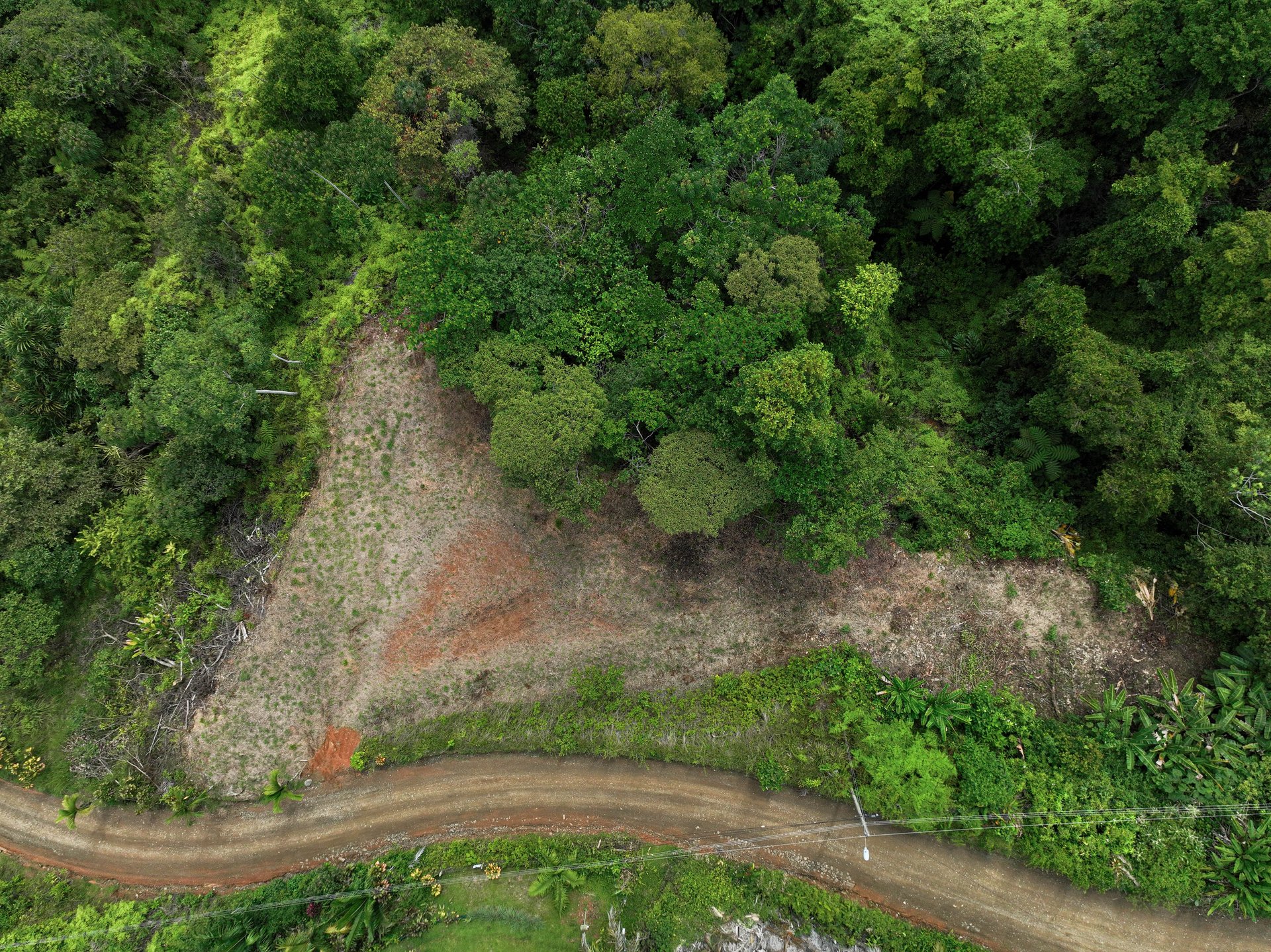 Ocean, Mountain View Ready to Build Lot on Desired Calle Perezoso