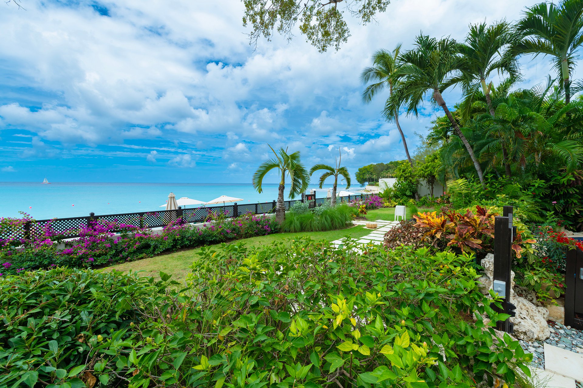 Coral Cove One