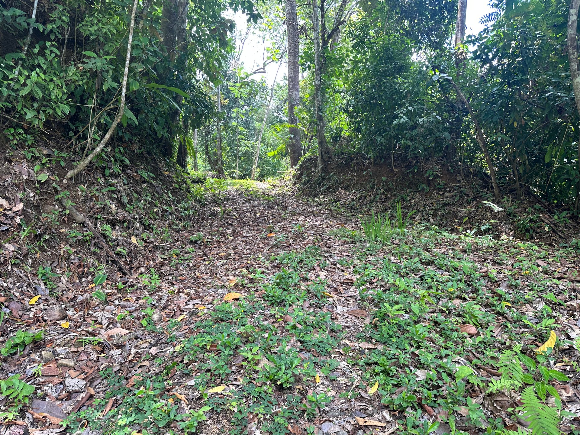 Ocean View Estate Lot with Private Waterfall – Uvita