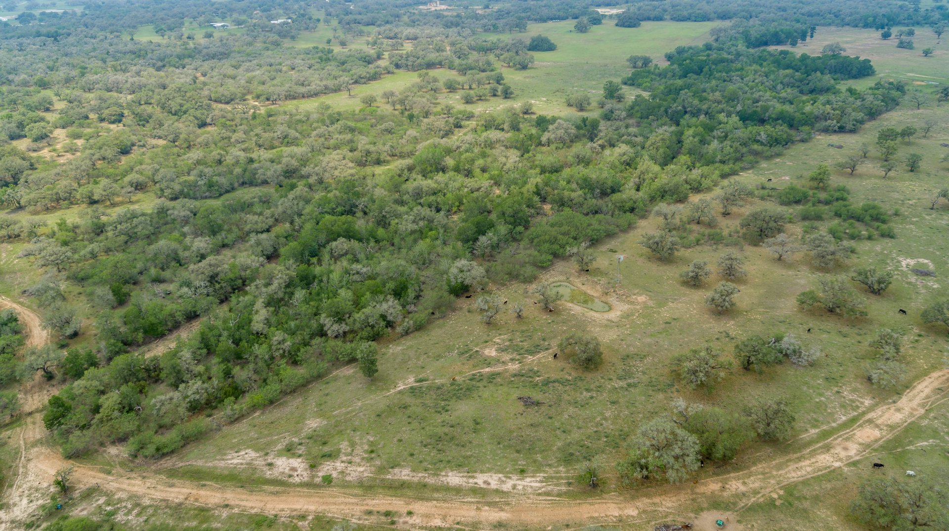 Five Mile Creek Reserve | 252.73± Acres-High Fence | DeWitt County, TX