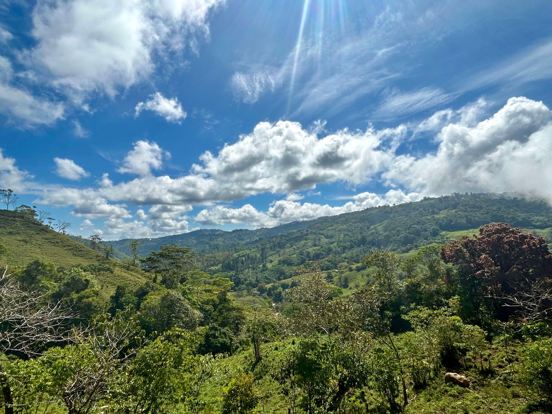 49 Acres Development Farm in San Luis with two Existing Homes 