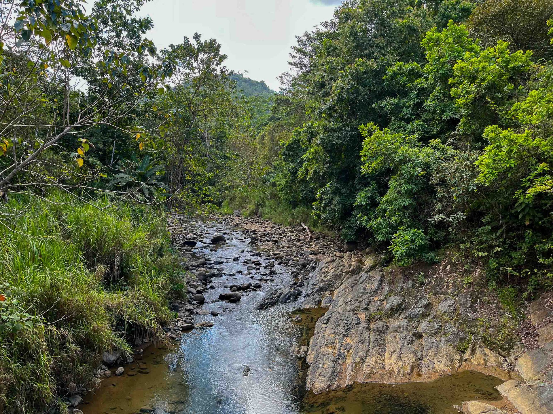 Waterfall Home in Private Community Affordable Jungle Home