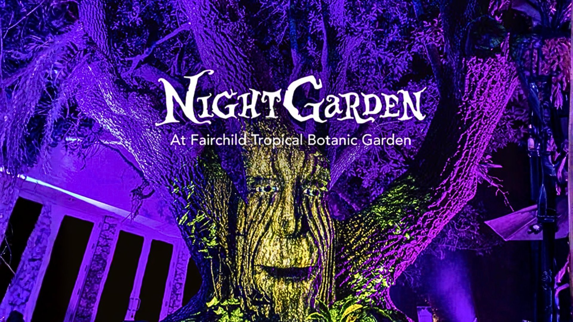  Night Garden illuminated display at Fairchild Tropical Botanic Garden with purple lighting on trees and golden spotlights, Miami attraction by The Edit Real Estate