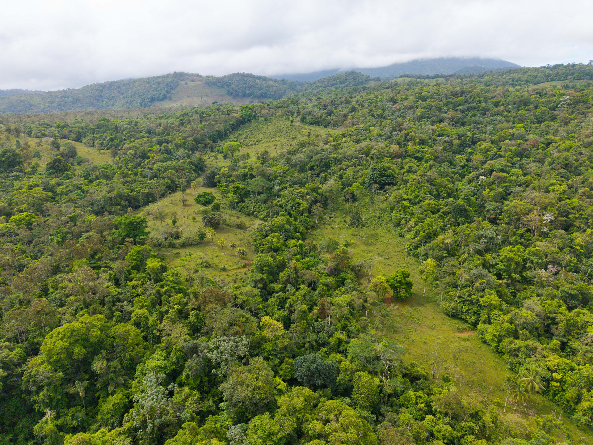 Finca Las Zompopas-Río Celeste | 113-Acre Biodiverse Property in Bijagua, Ideal for Eco-Tourism, Private Retreats, or Sustainable Development