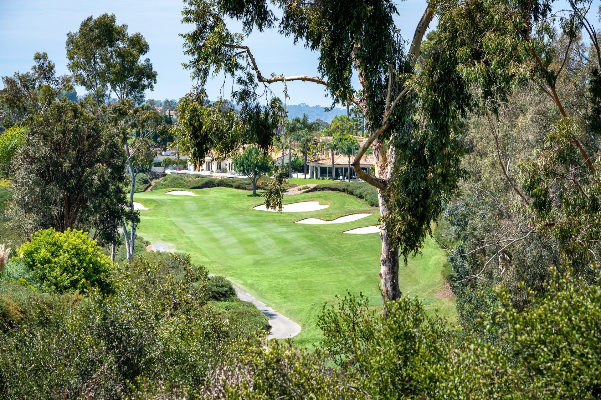 Above The Course & The Coast