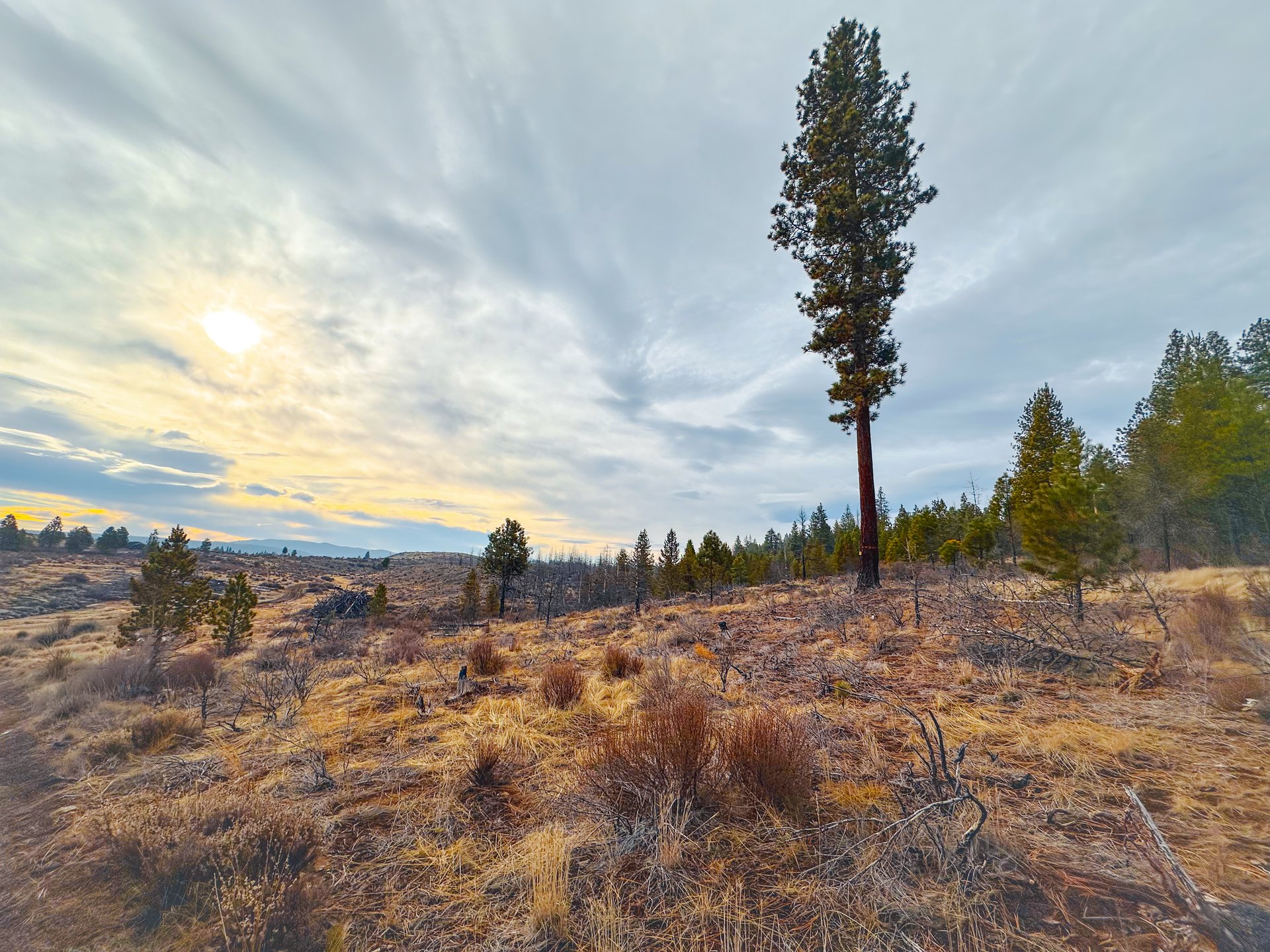 Klamath Basin