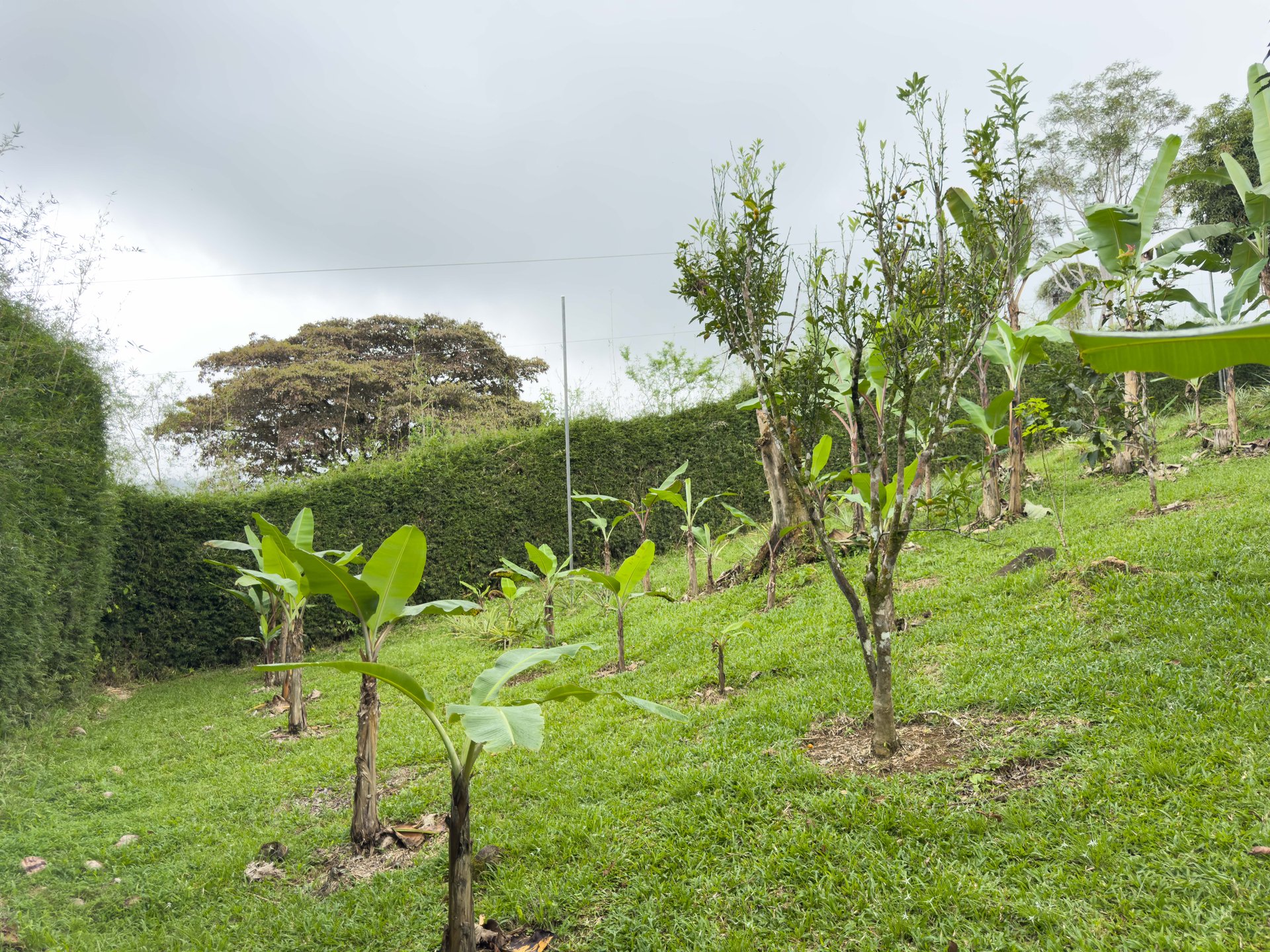 Tinamastes Eco Orchard | Creekside 2BR Home + Studio Casita