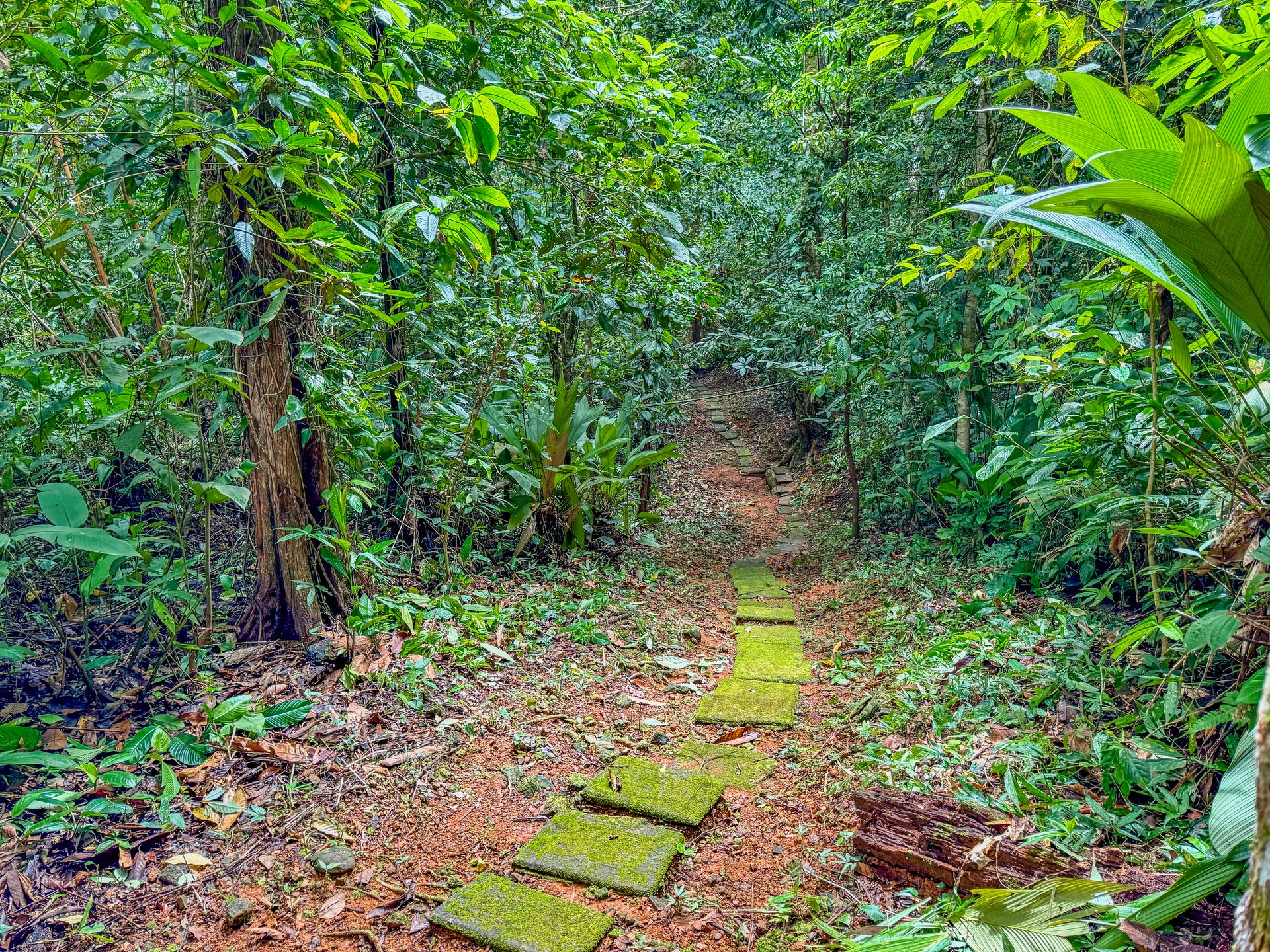 Jungle Retreat with River, Views & 2 Homes in Tres Rios