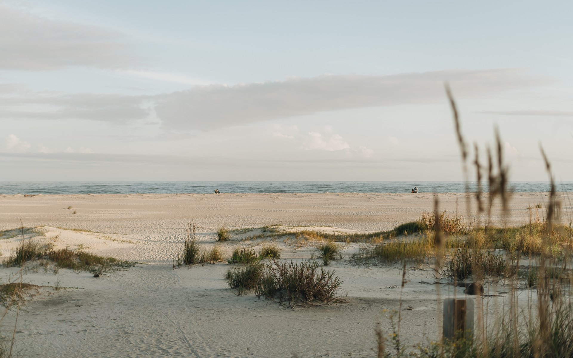 Sullivan's Island beach and dunes along the Atlantic Ocean