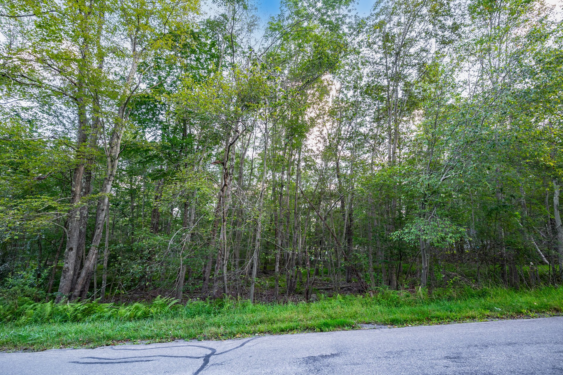 6 Orono Drive