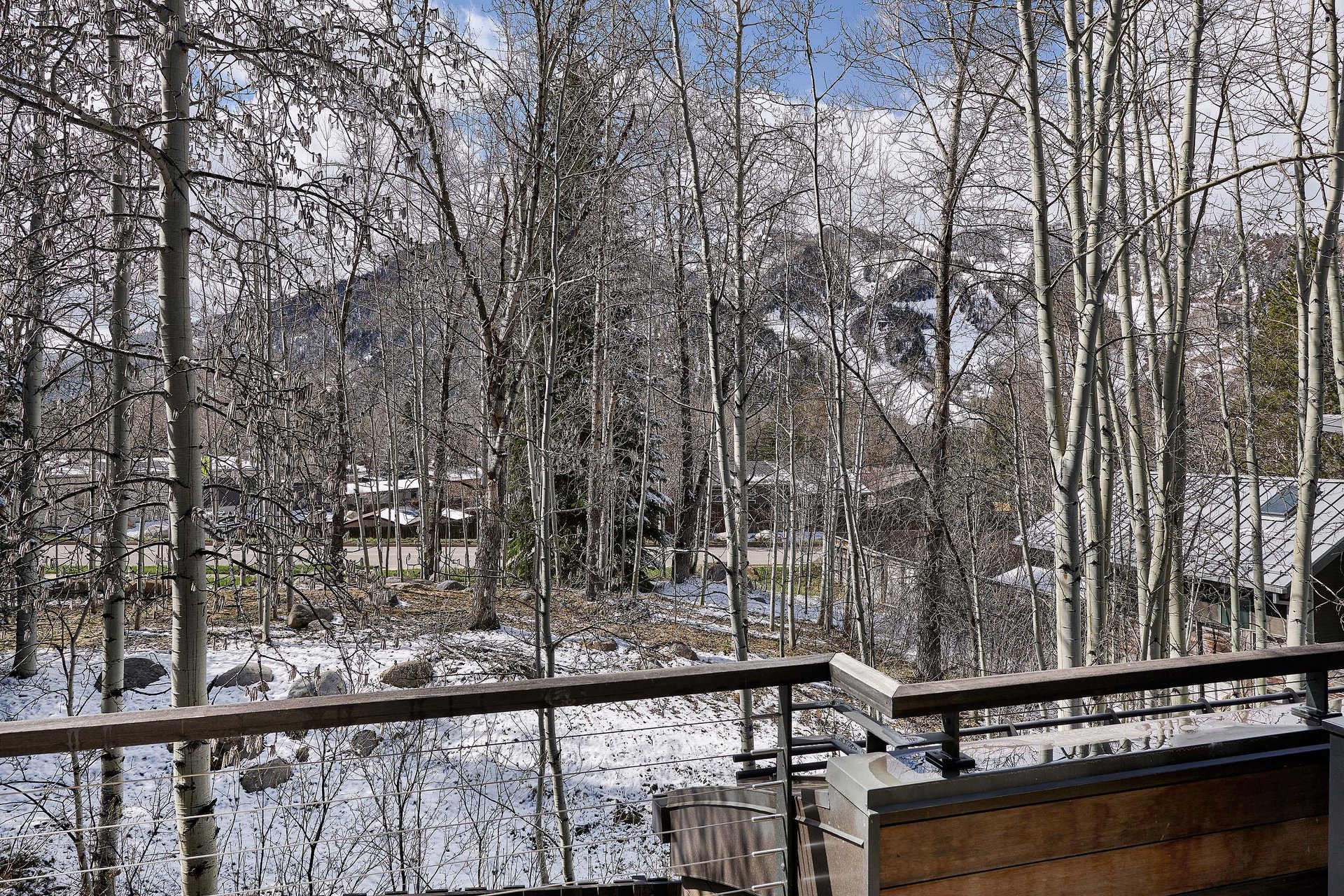  Contemporary Home Nestled on the North Side of Aspen 