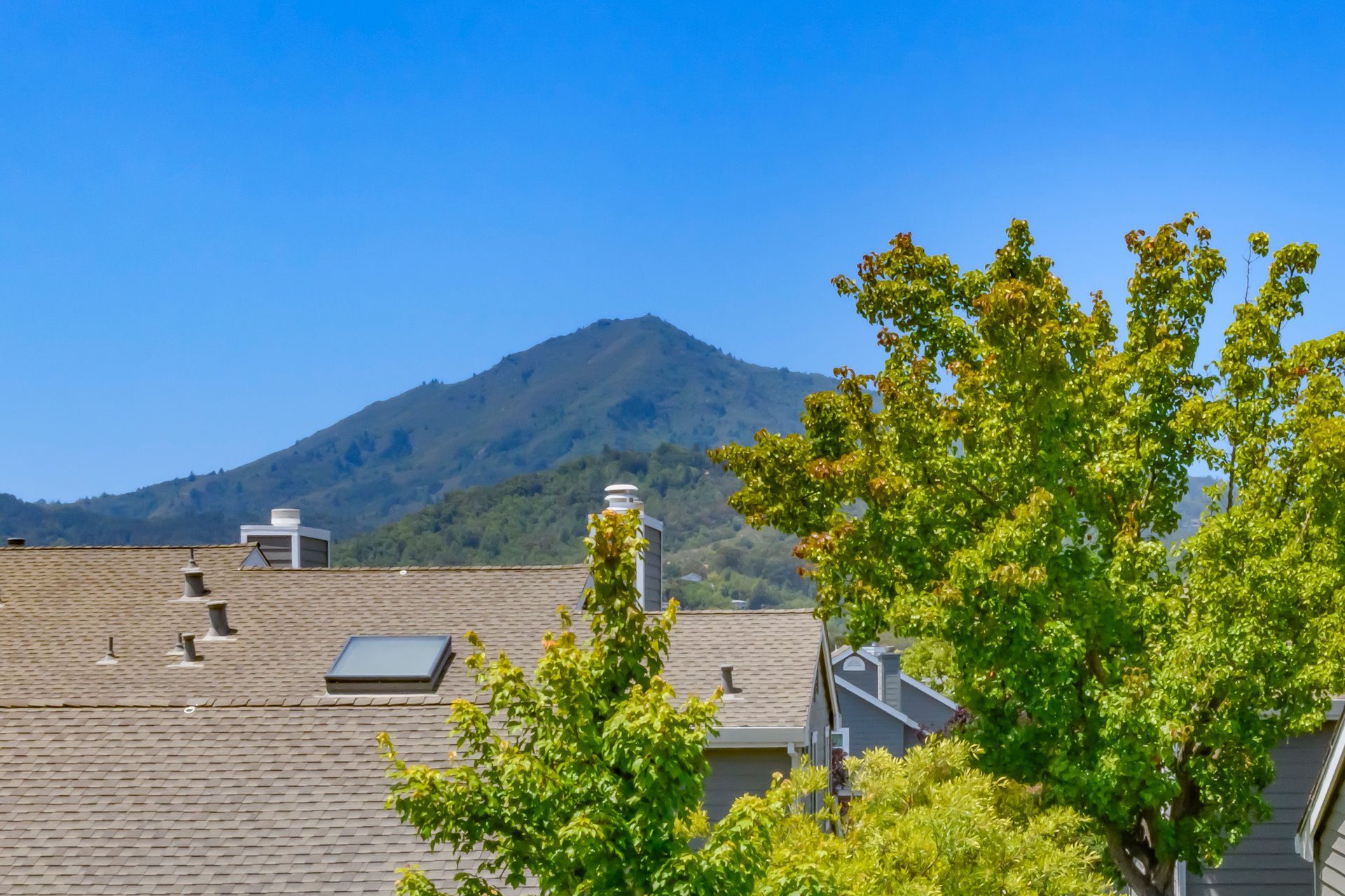 Contemporary Townhome Living at Its Finest- Represented Seller