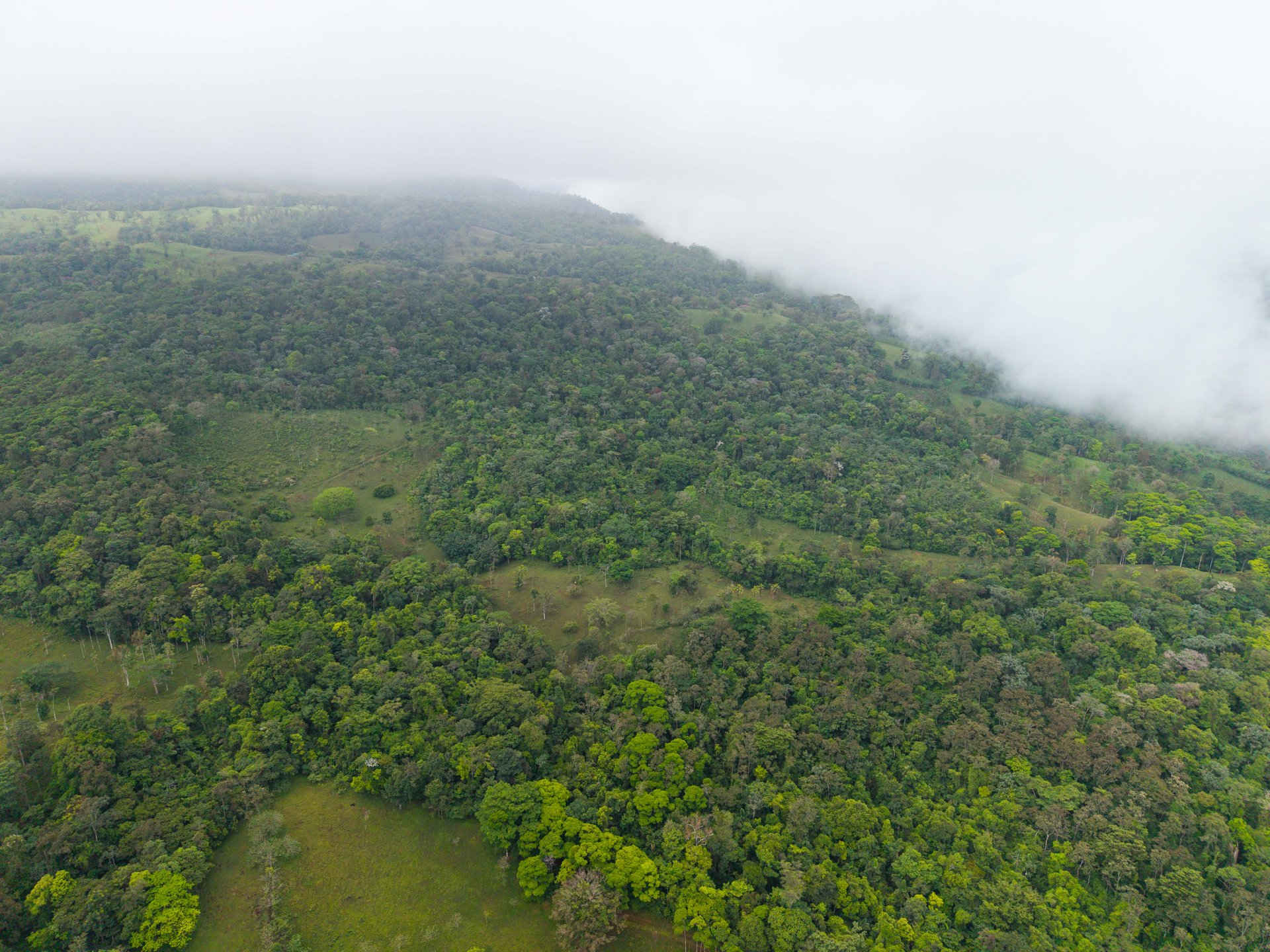 Finca Las Zompopas-Río Celeste | 113-Acre Biodiverse Property in Bijagua, Ideal for Eco-Tourism, Private Retreats, or Sustainable Development