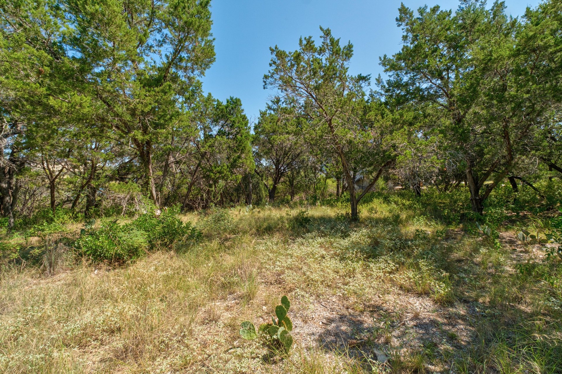 3500 Parliament Cove